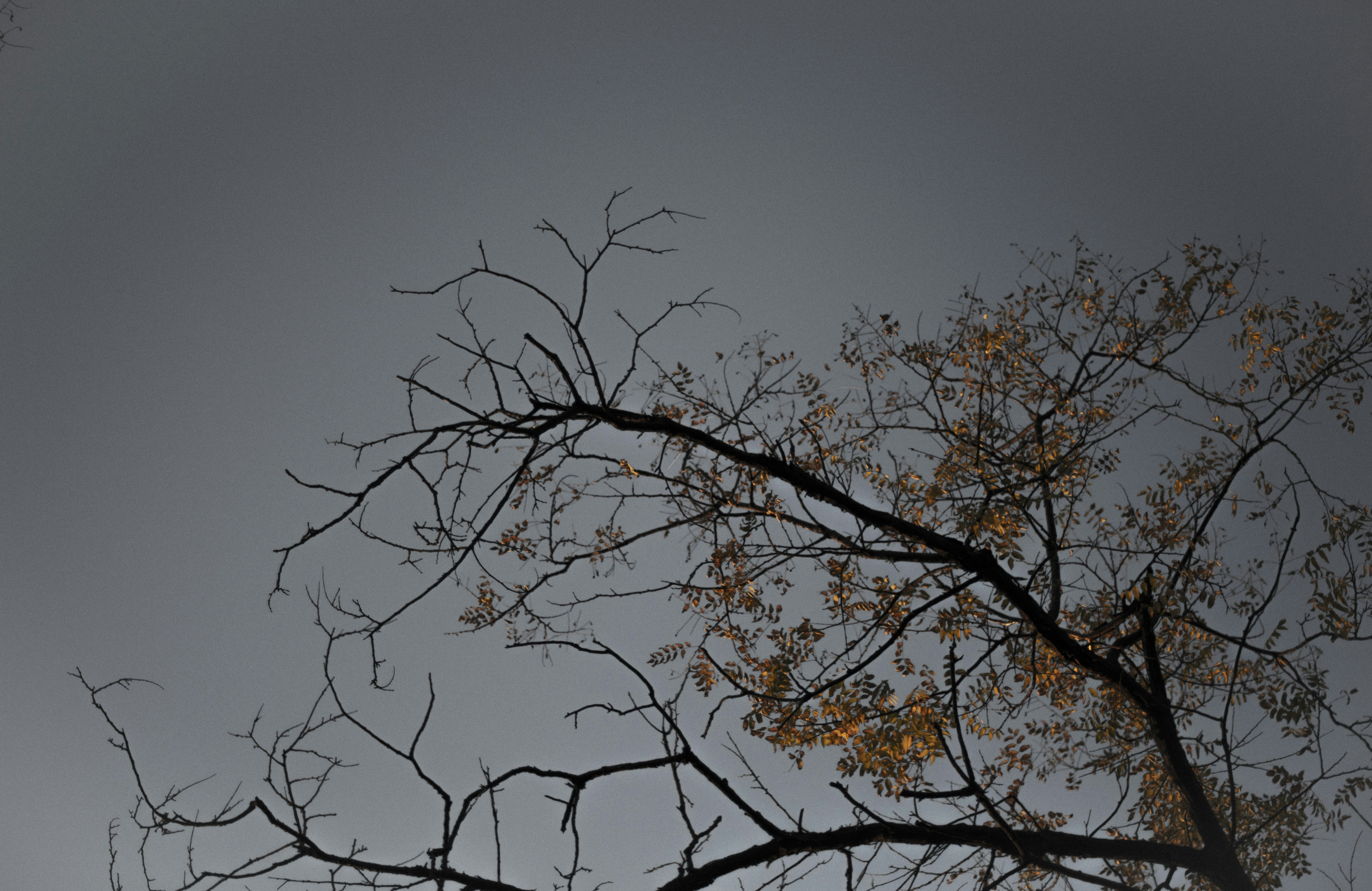 Photo by danielabeleva