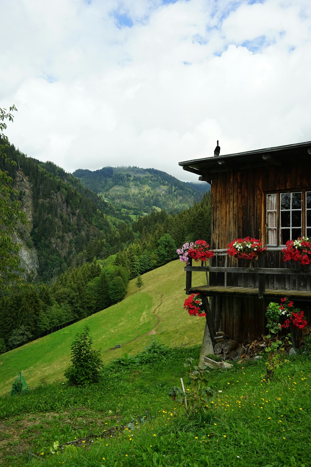 brown wooden house on green grass field near mountain during daytime