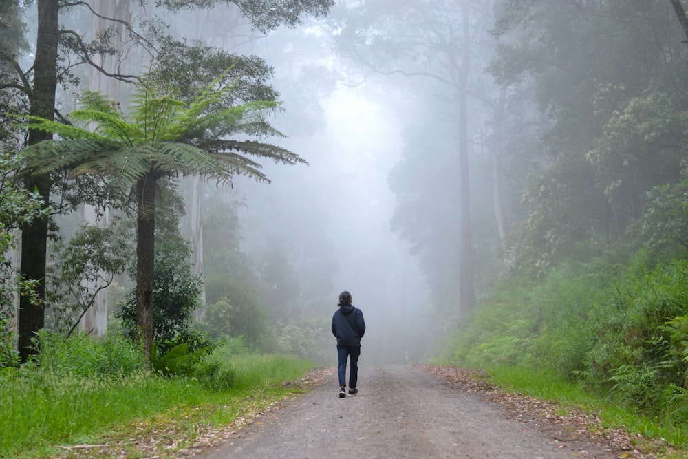 霧の中、緑の木々の間の小道を歩く黒いジャケットを着た人