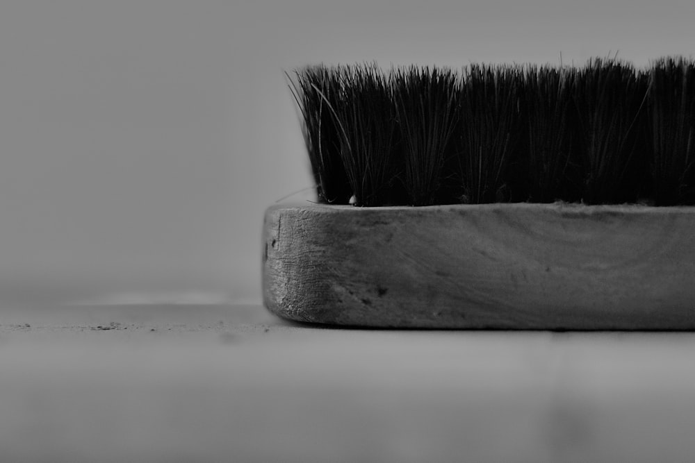 grayscale photo of brush on wooden board