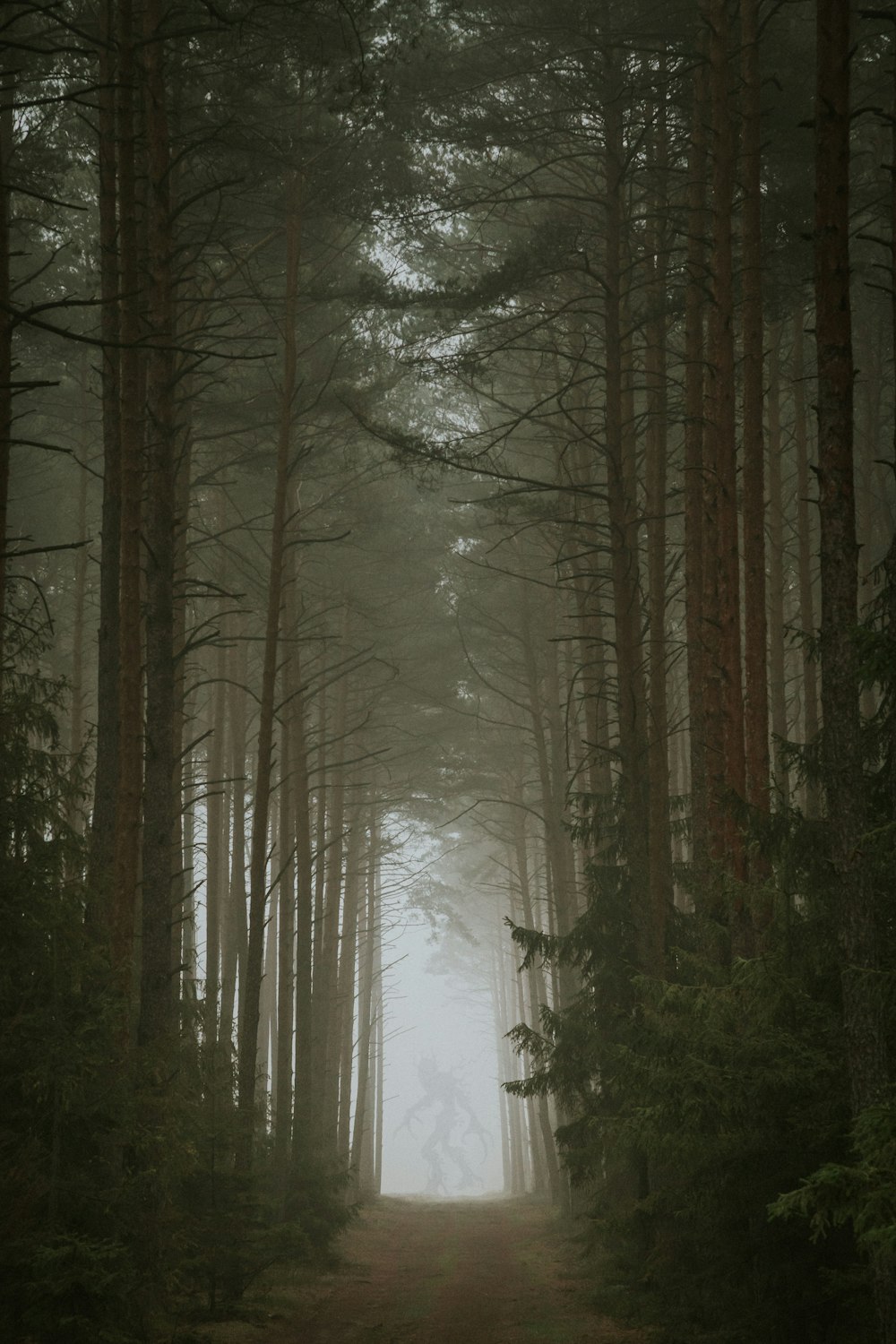 brown trees covered with snow