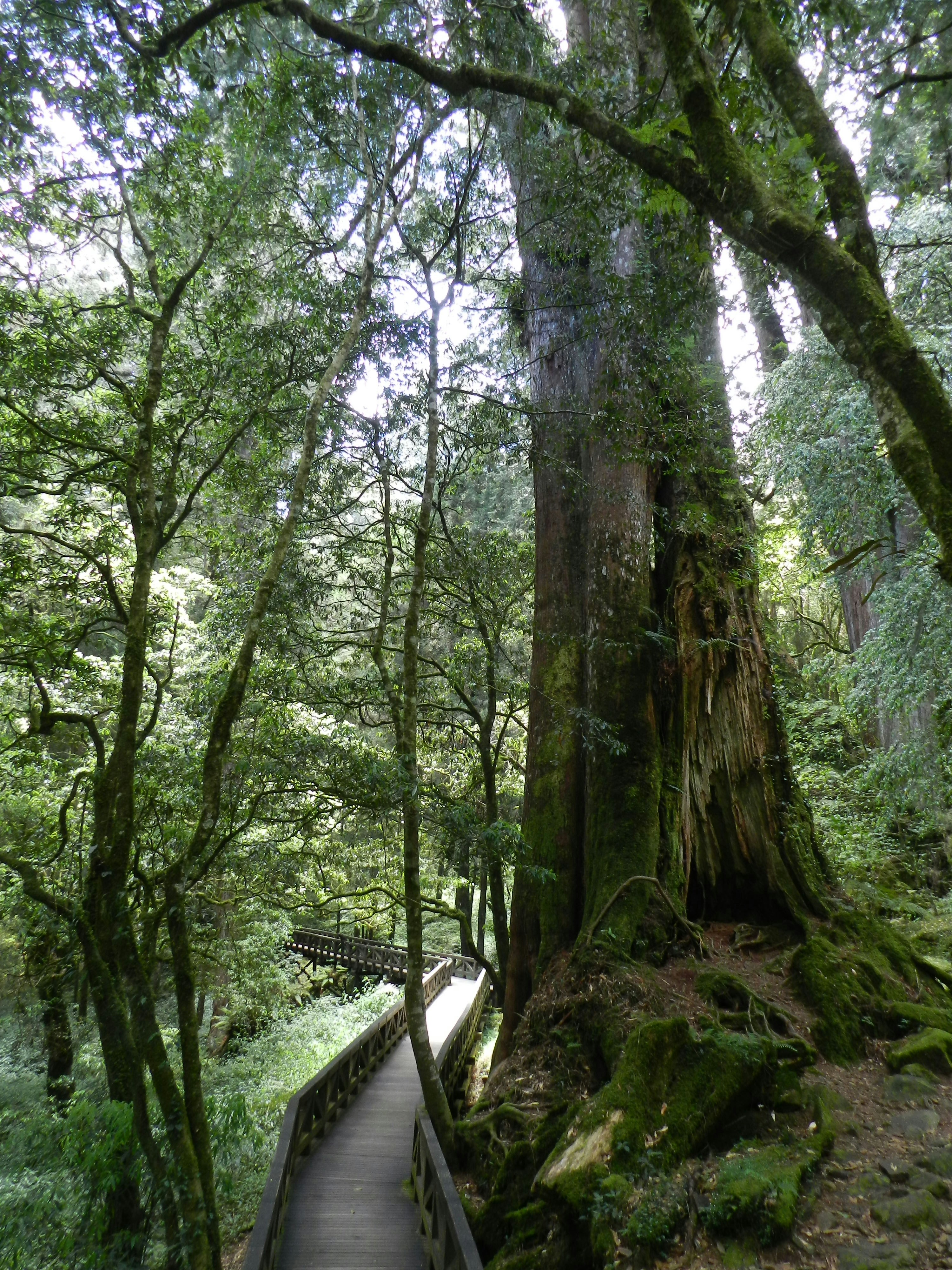 Photo by connievandenakker