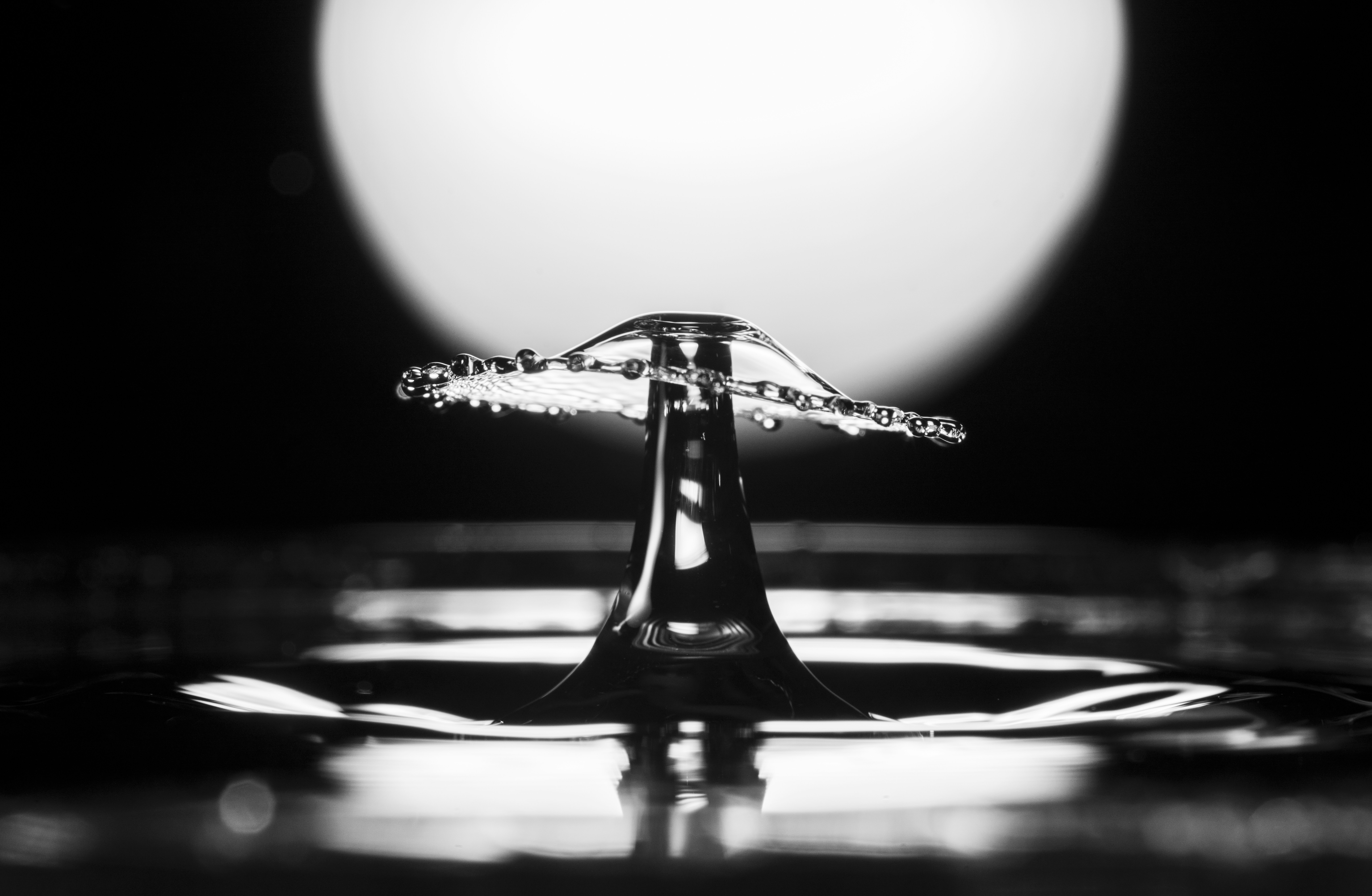 Photo by mickdepaola