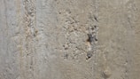 A close-up view of a rough, textured concrete wall with evident wear and damage. There are visible cracks and small holes scattered across the surface.