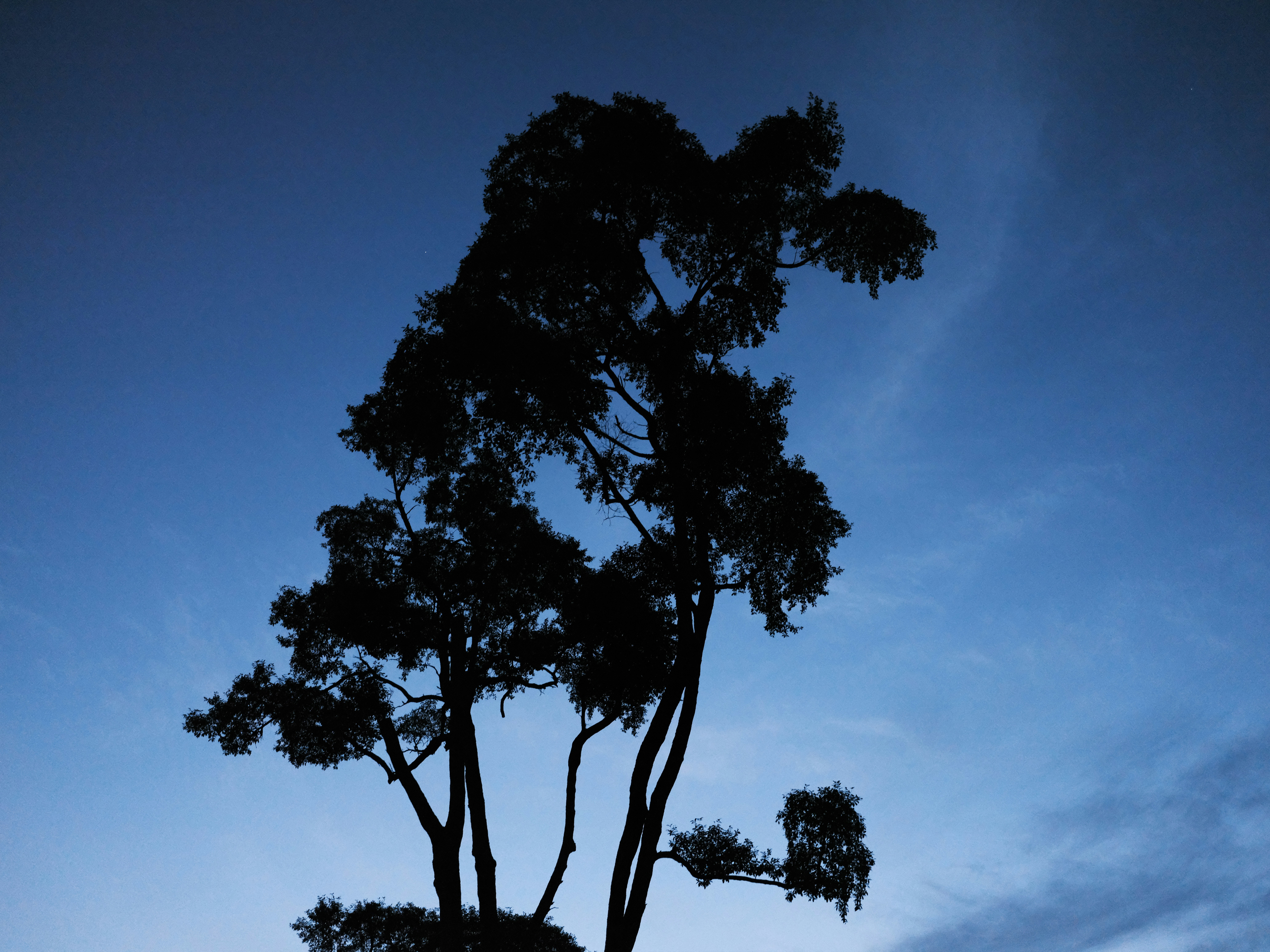 Photo by galen_crout