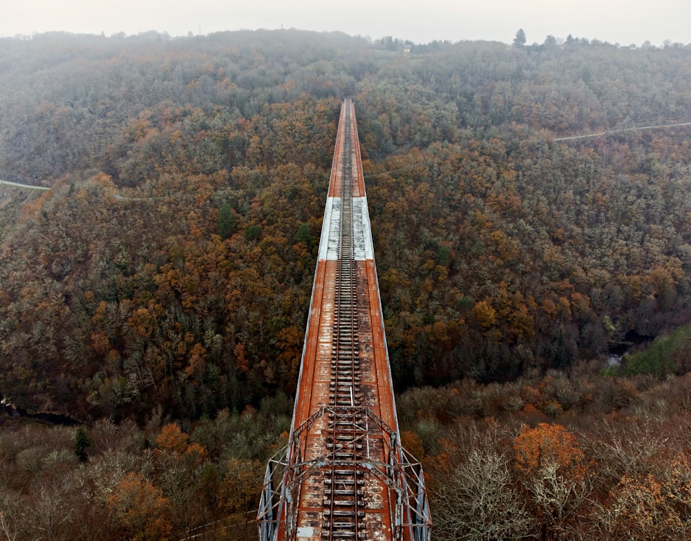 aerial view of trees and road during daytime