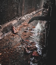 A narrow, flowing stream of water runs along the base of a textured concrete wall. Debris such as leaves and rocks can be seen scattered in the water, which reflects the light and surroundings. Vegetation partially obscures one side, suggesting an outdoor environment with natural elements.