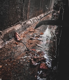 A narrow, flowing stream of water runs along the base of a textured concrete wall. Debris such as leaves and rocks can be seen scattered in the water, which reflects the light and surroundings. Vegetation partially obscures one side, suggesting an outdoor environment with natural elements.