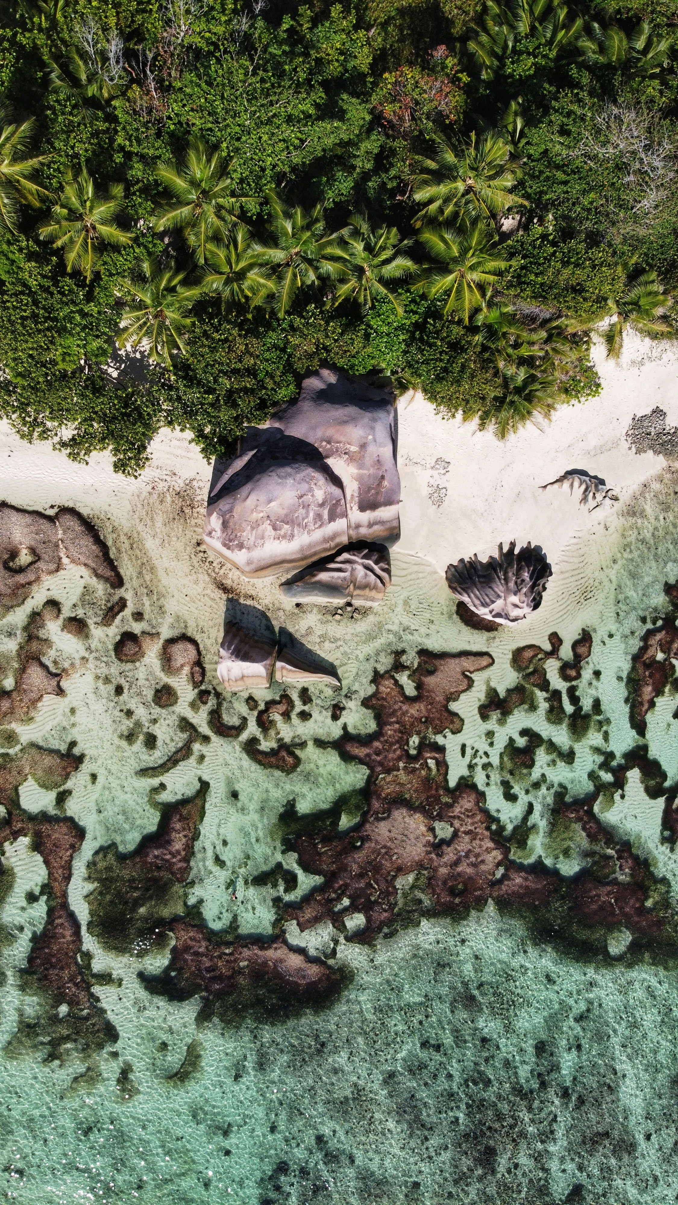 anse source d'argent