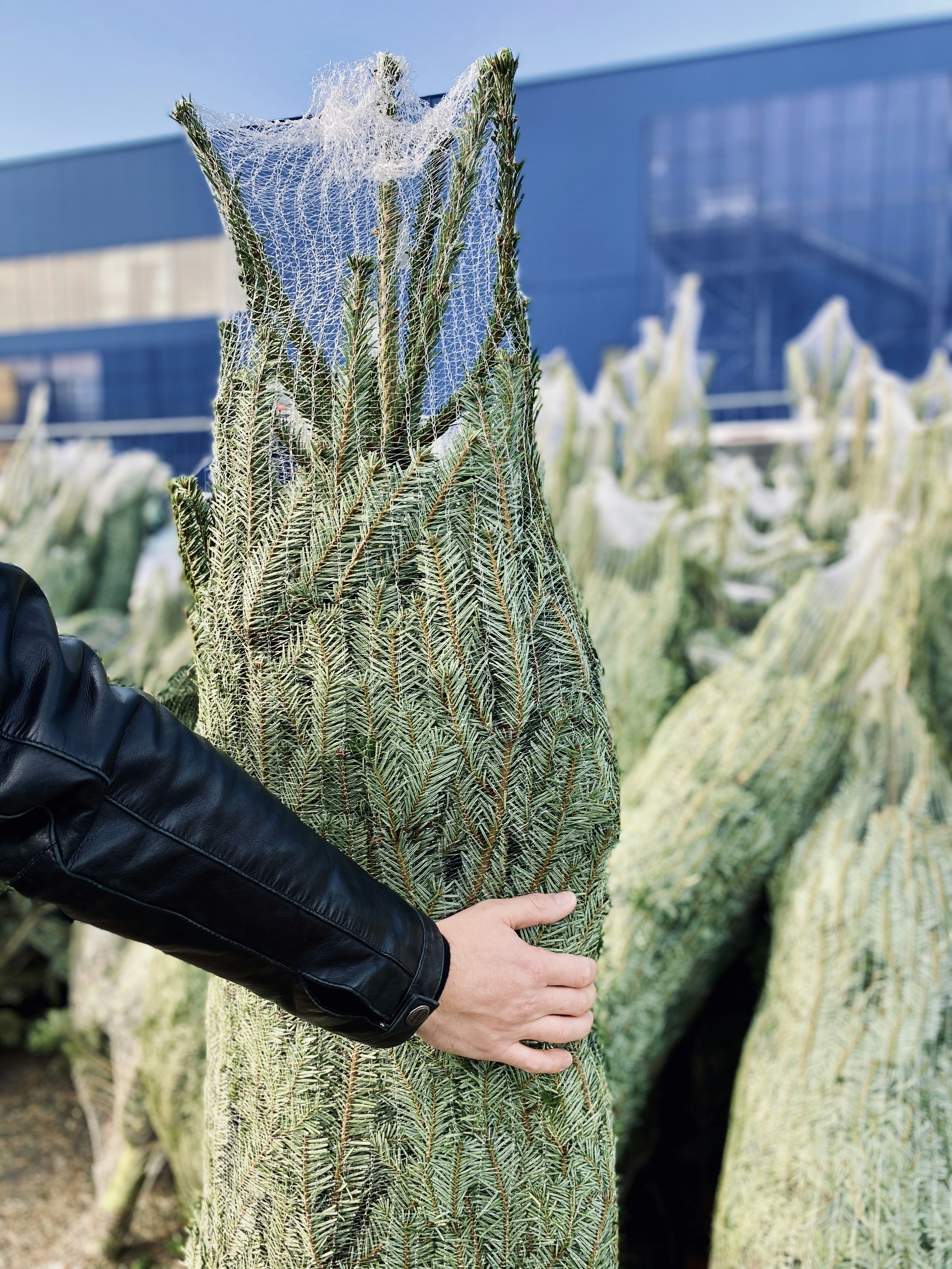 Person in schwarzer Lederjacke mit blauem Netz