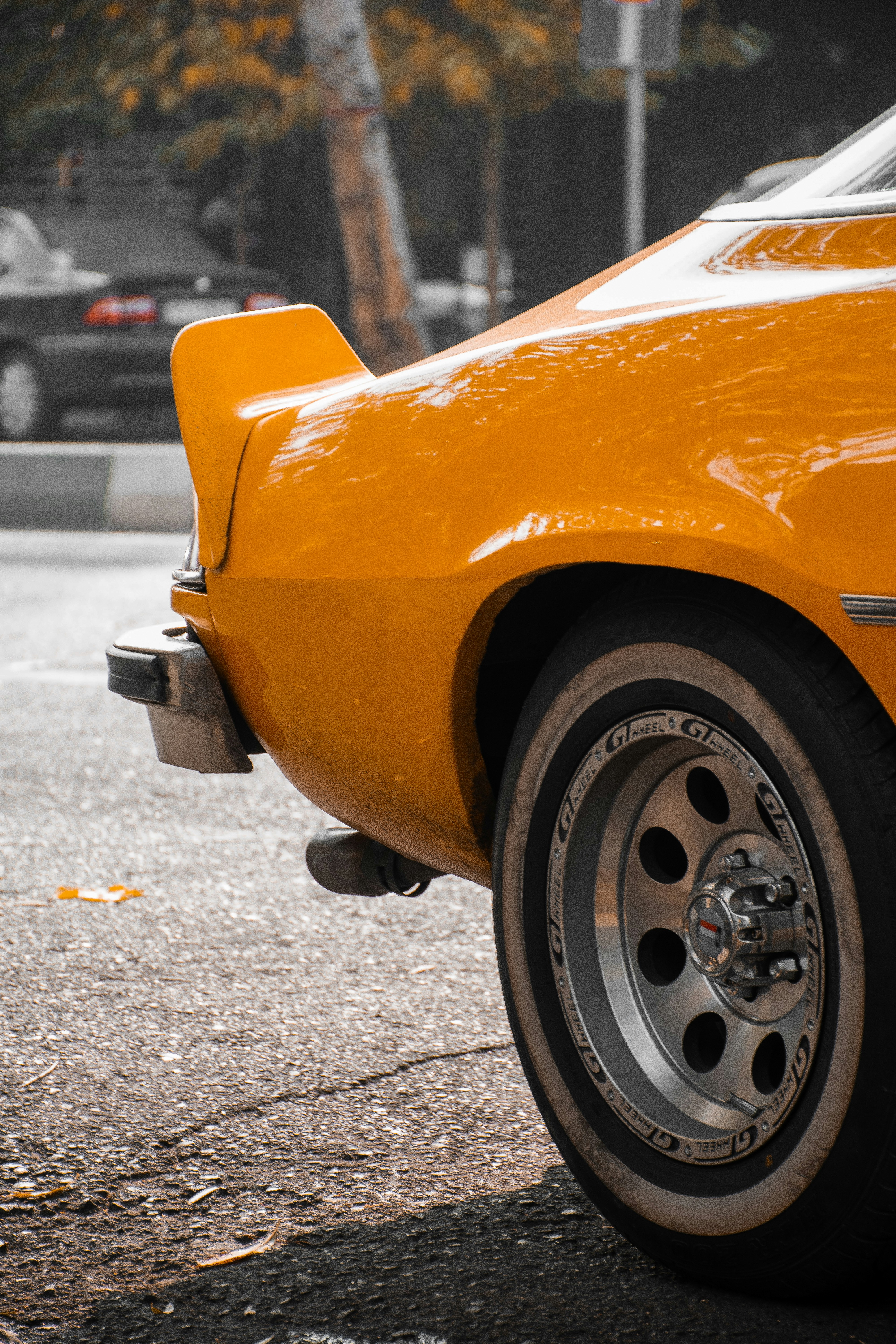 Photo by soltanimedia