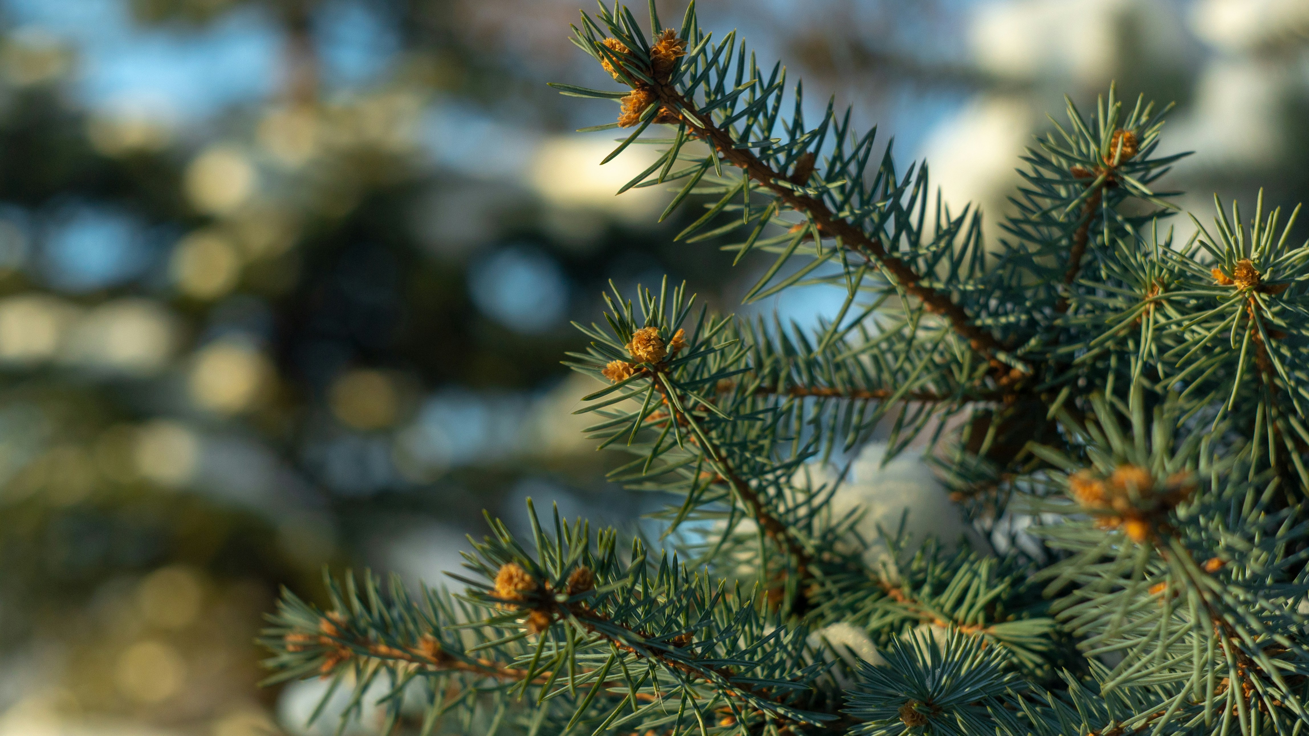 Photo by digital_helium