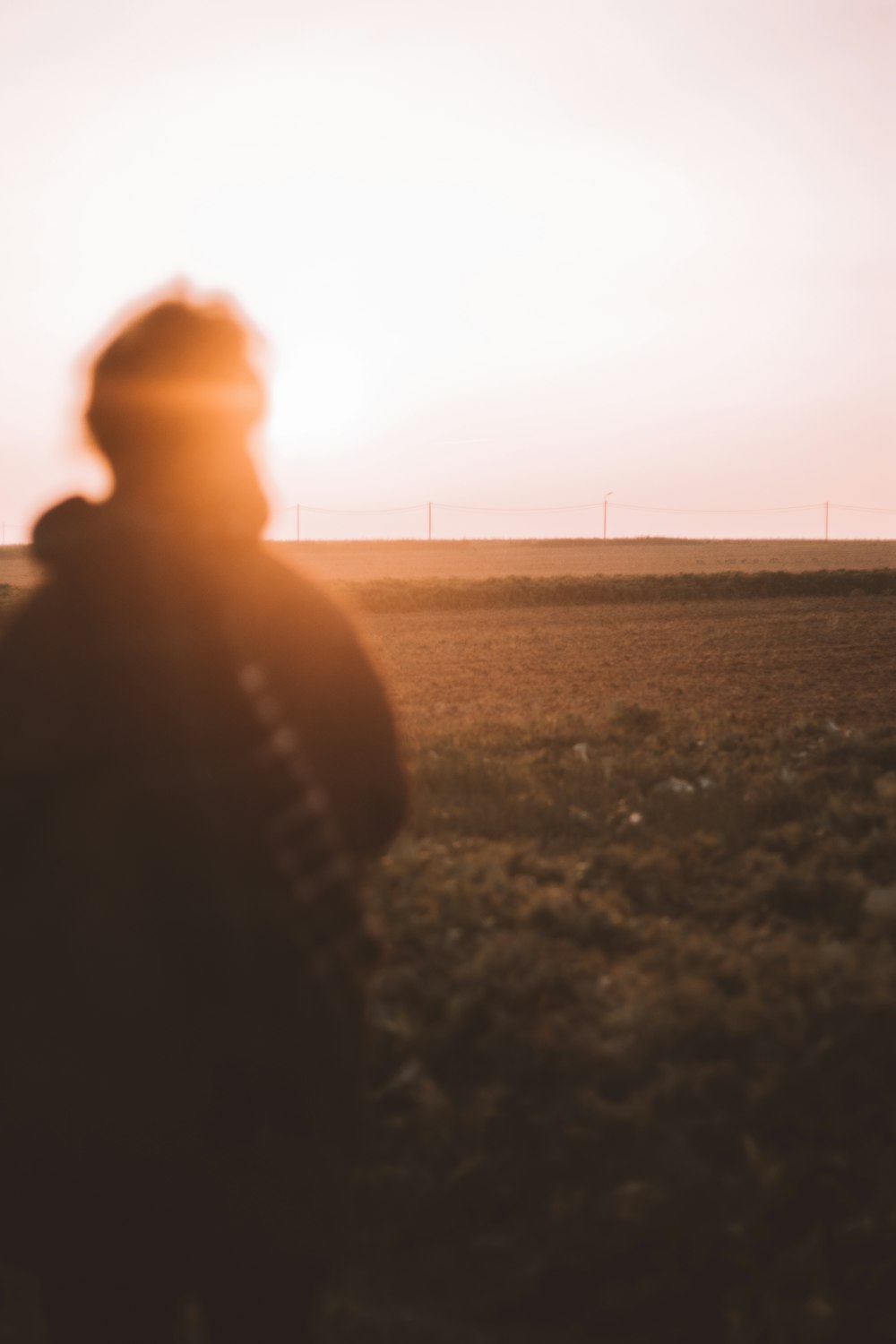 silhouette of person standing on field during sunset