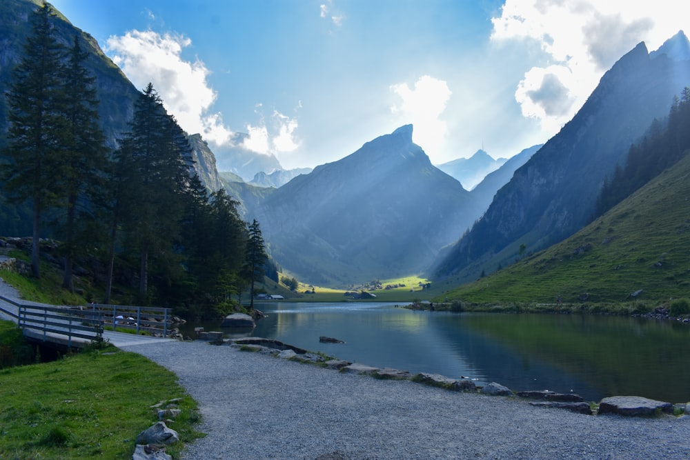 green trees near lake and mountains under blue sky during daytime