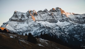 Majestic snow-covered mountains are illuminated by the warm light of the setting sun, casting a golden hue on their peaks. Dense forests and a winding path lie in the foreground, contrasting with the rugged, icy terrain of the mountains. The sky appears clear, enhancing the serene and awe-inspiring atmosphere.
