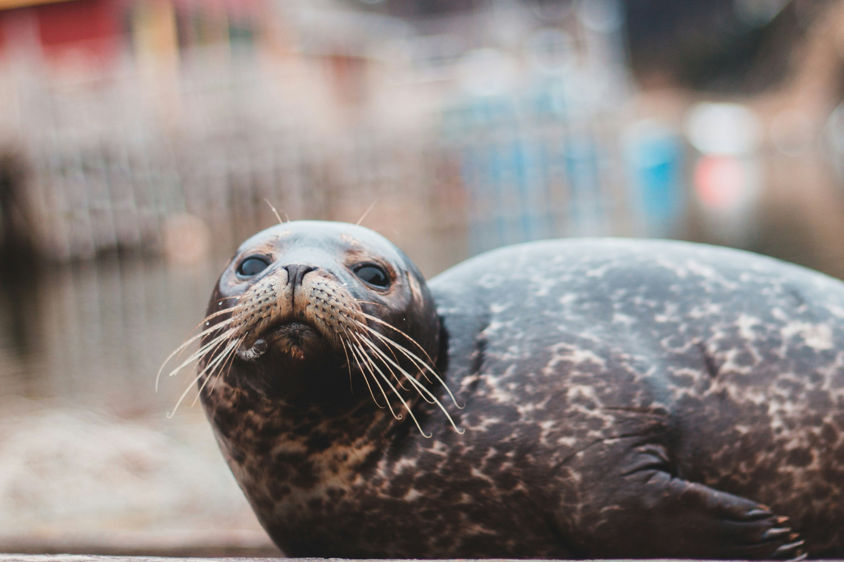 Photo by introspectivedsgn