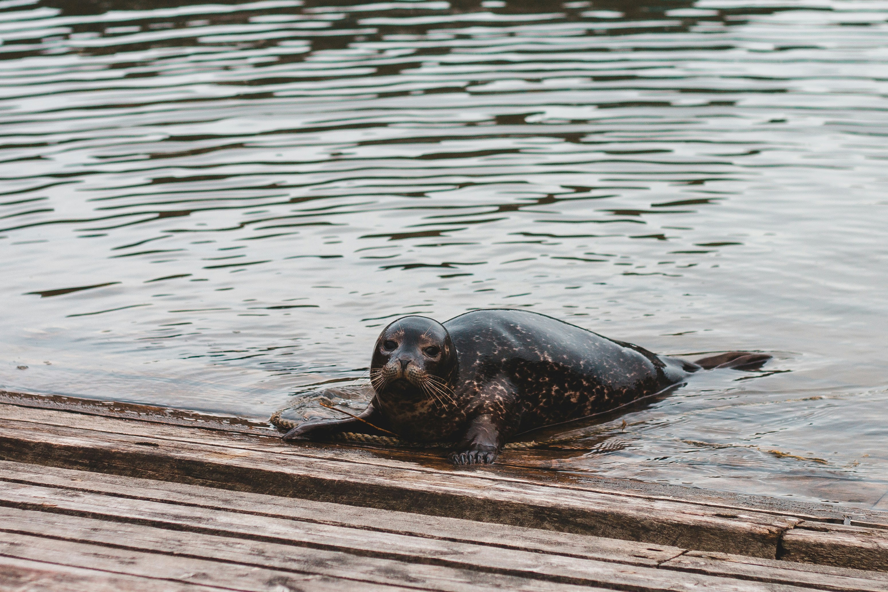 Photo by introspectivedsgn