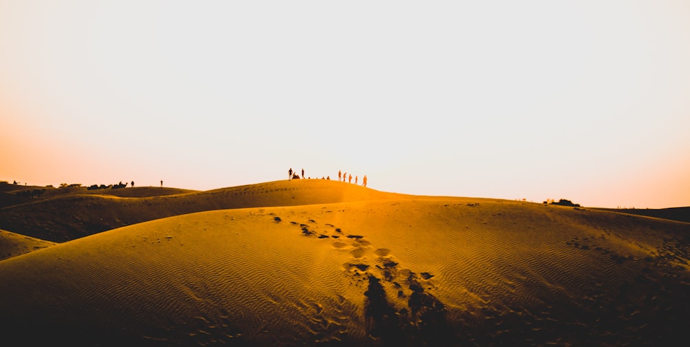 people walking on sand dunes