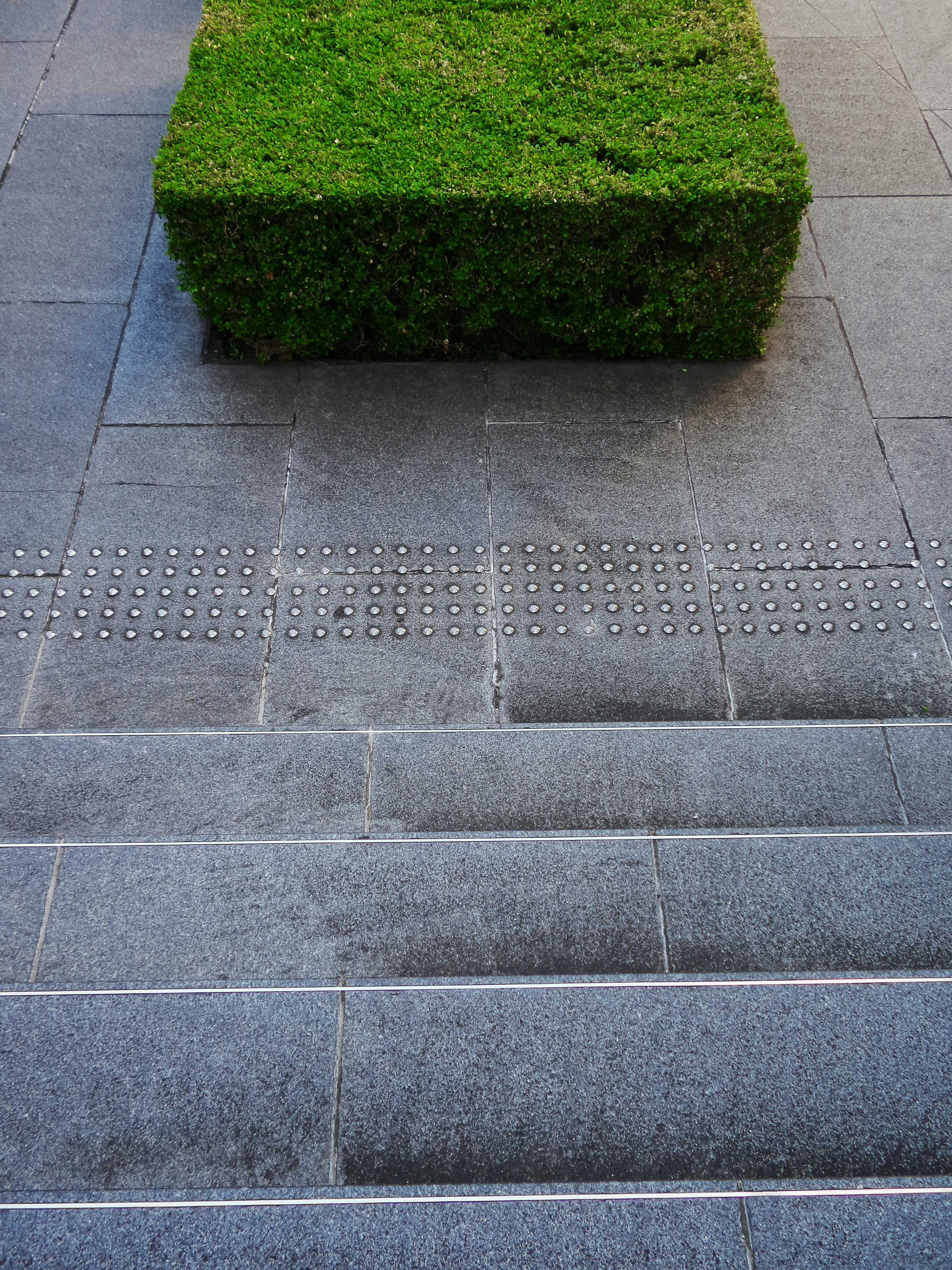 Photo by possessedphotography