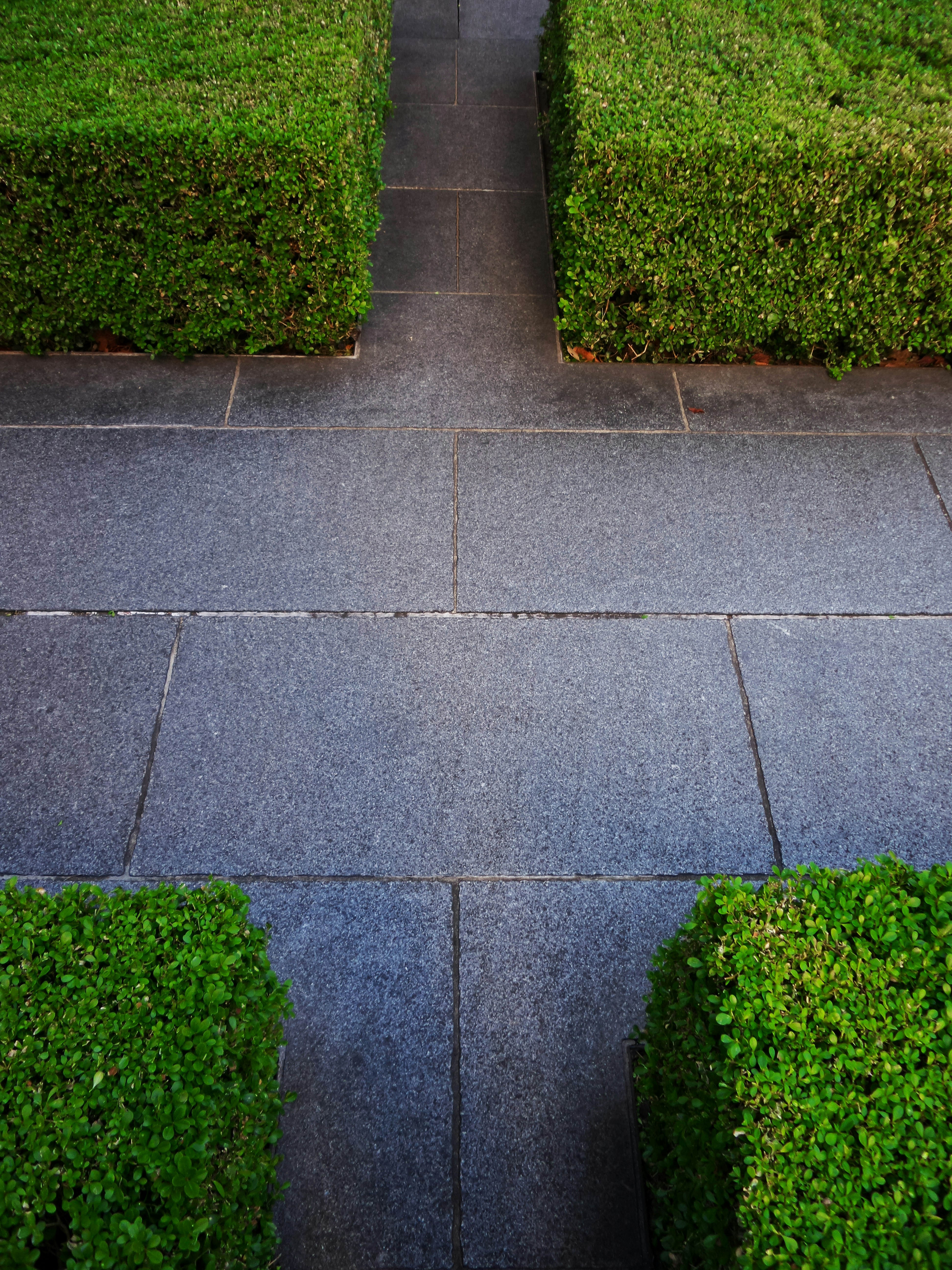 Photo by possessedphotography