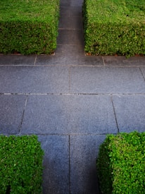 A freshly mowed lawn with crisp edges beside a modern stone walkway and manicured shrubs.