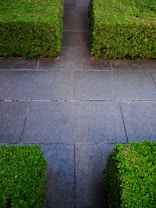 The image features a well-trimmed green hedge bordering a stone pathway with large, rectangular gray tiles. The lush greenery contrasts with the clean, minimalist lines of the path.