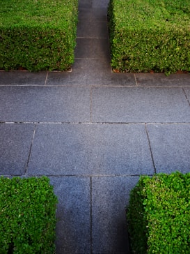 The image features a well-trimmed green hedge bordering a stone pathway with large, rectangular gray tiles. The lush greenery contrasts with the clean, minimalist lines of the path.