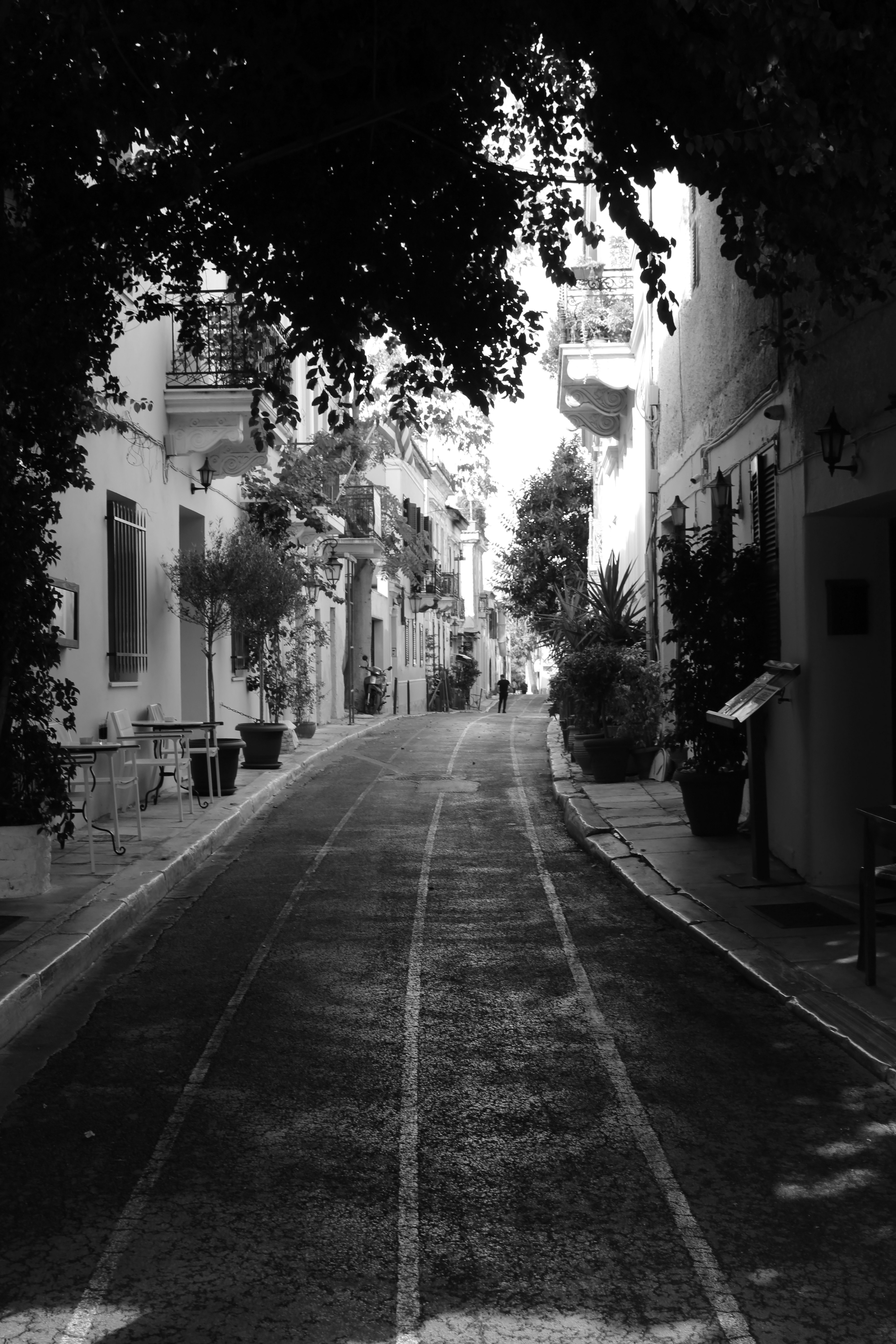 Photo by japhotography