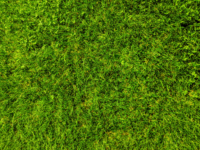 Acreage Calculator (Acres to Square Feet)