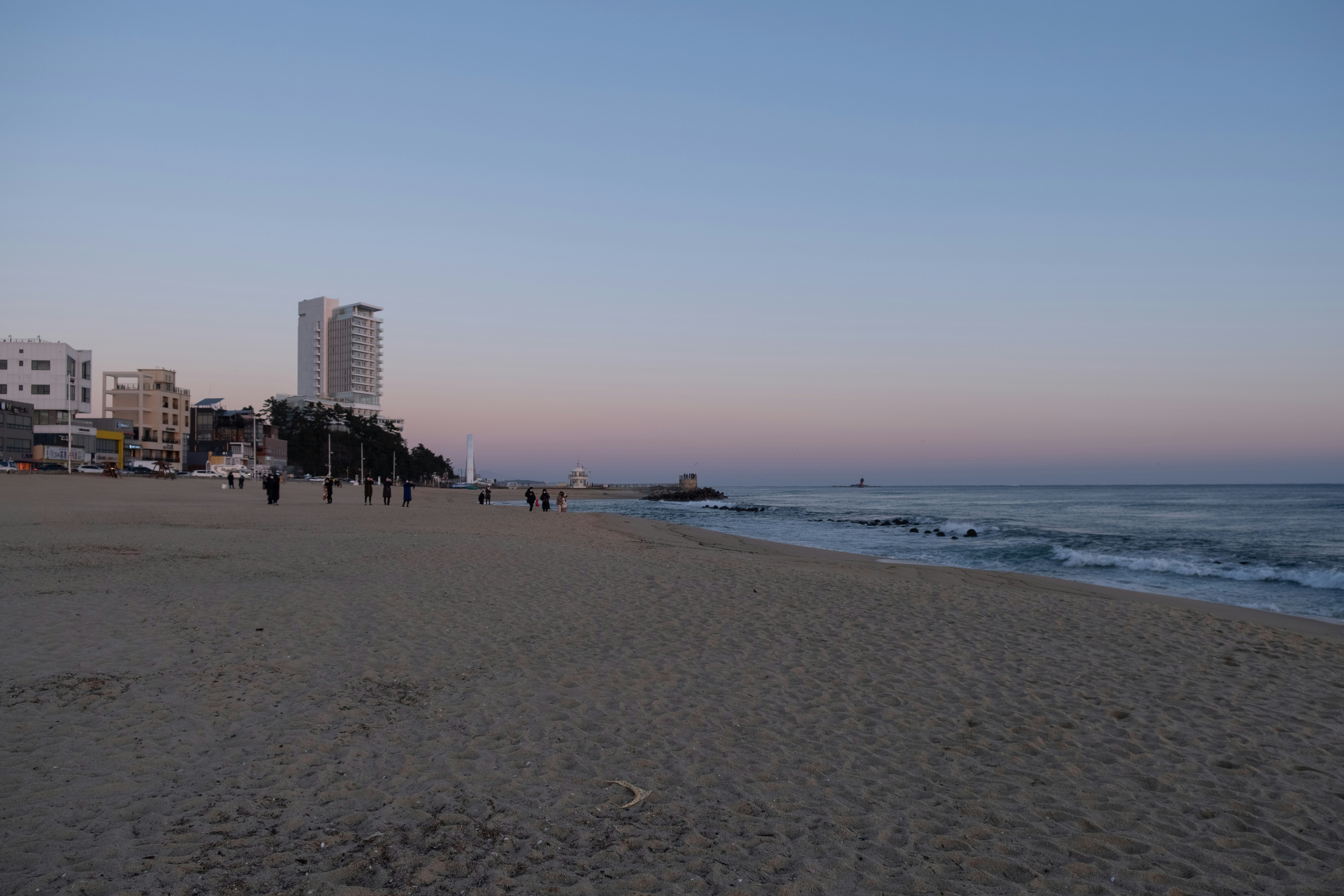 people on beach during daytime