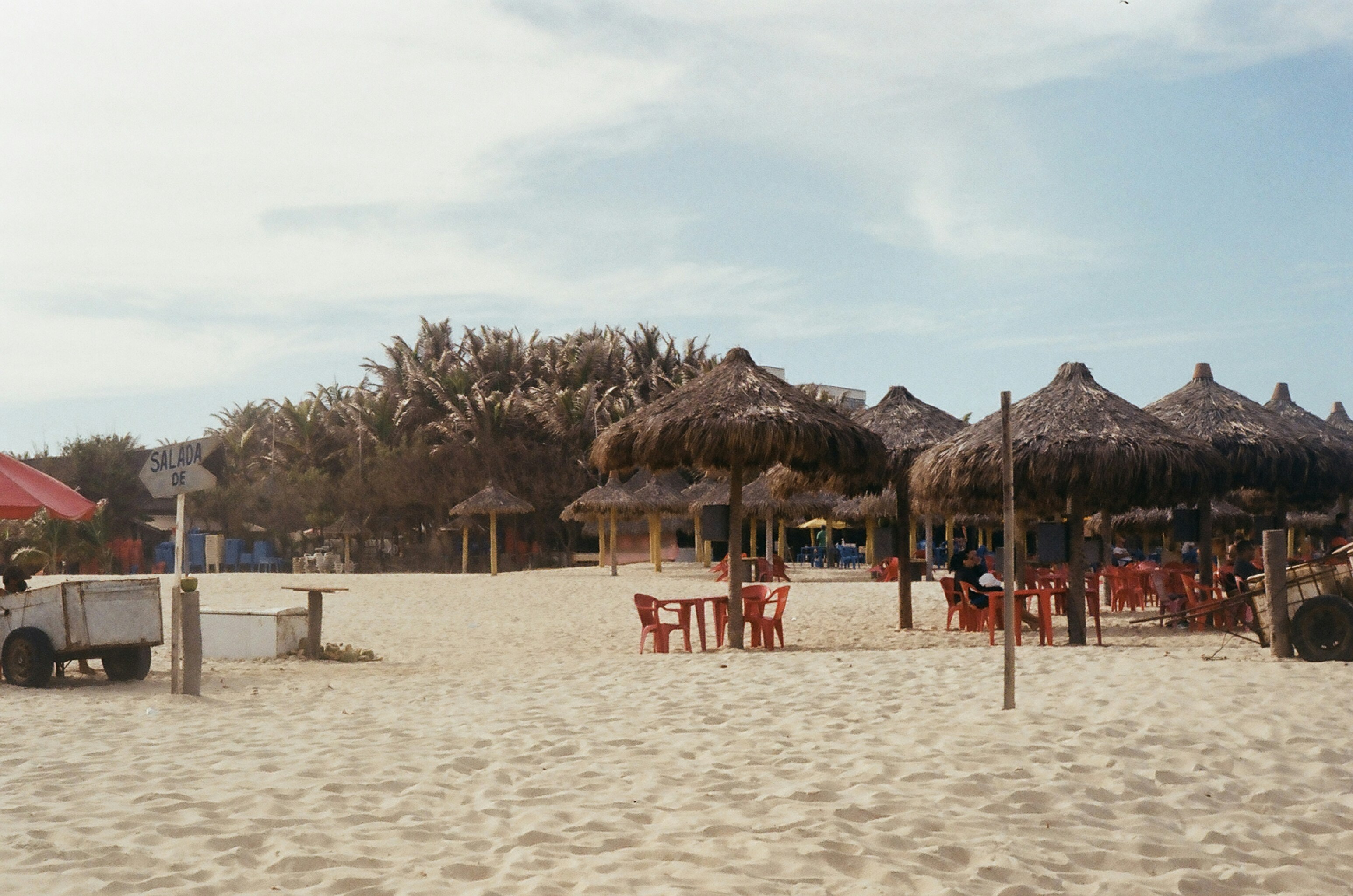 people on beach during daytime, 