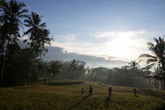 green grass field with trees and mountains in distance under blue sky with white clouds during