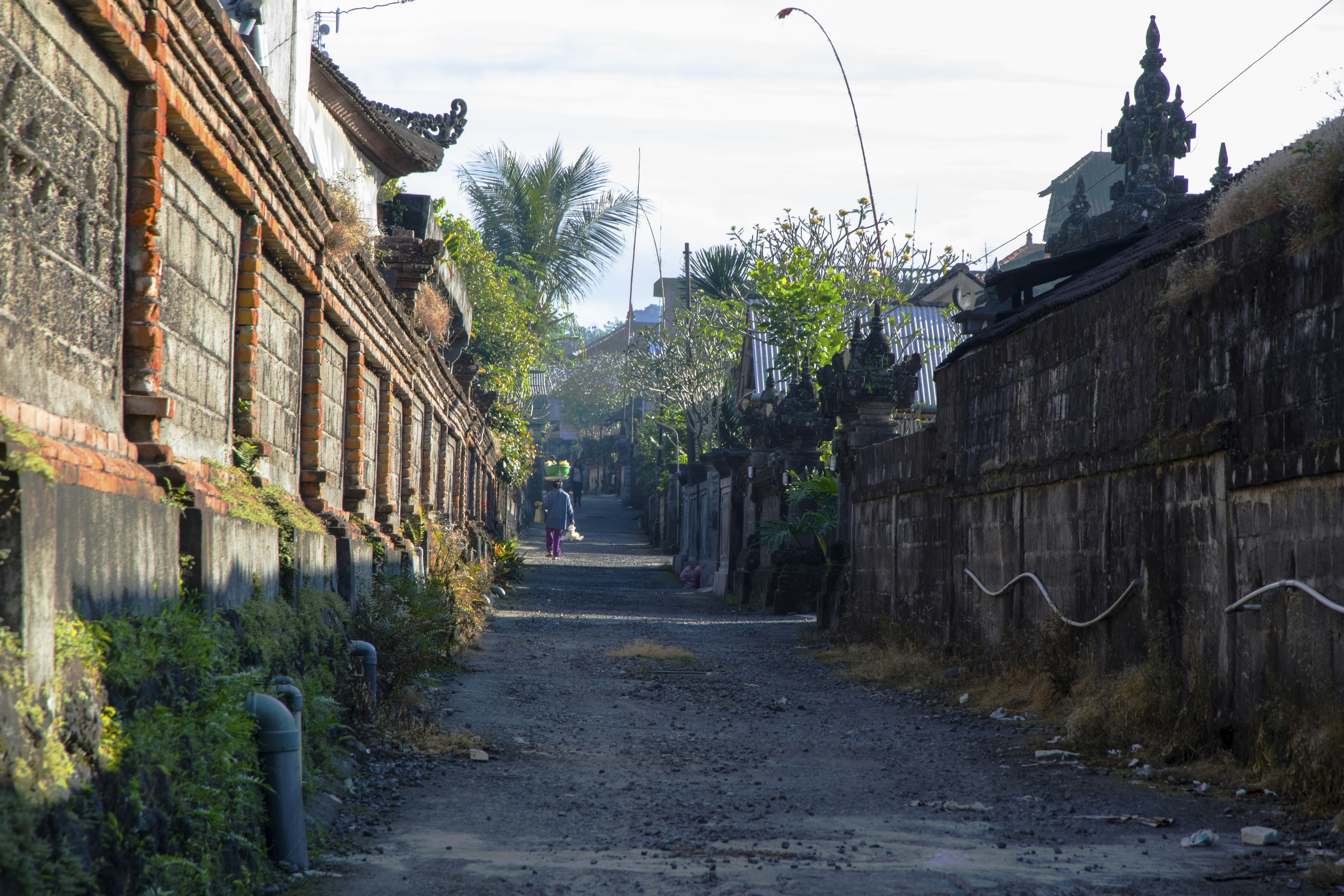 Chicken Collector - Indonesia