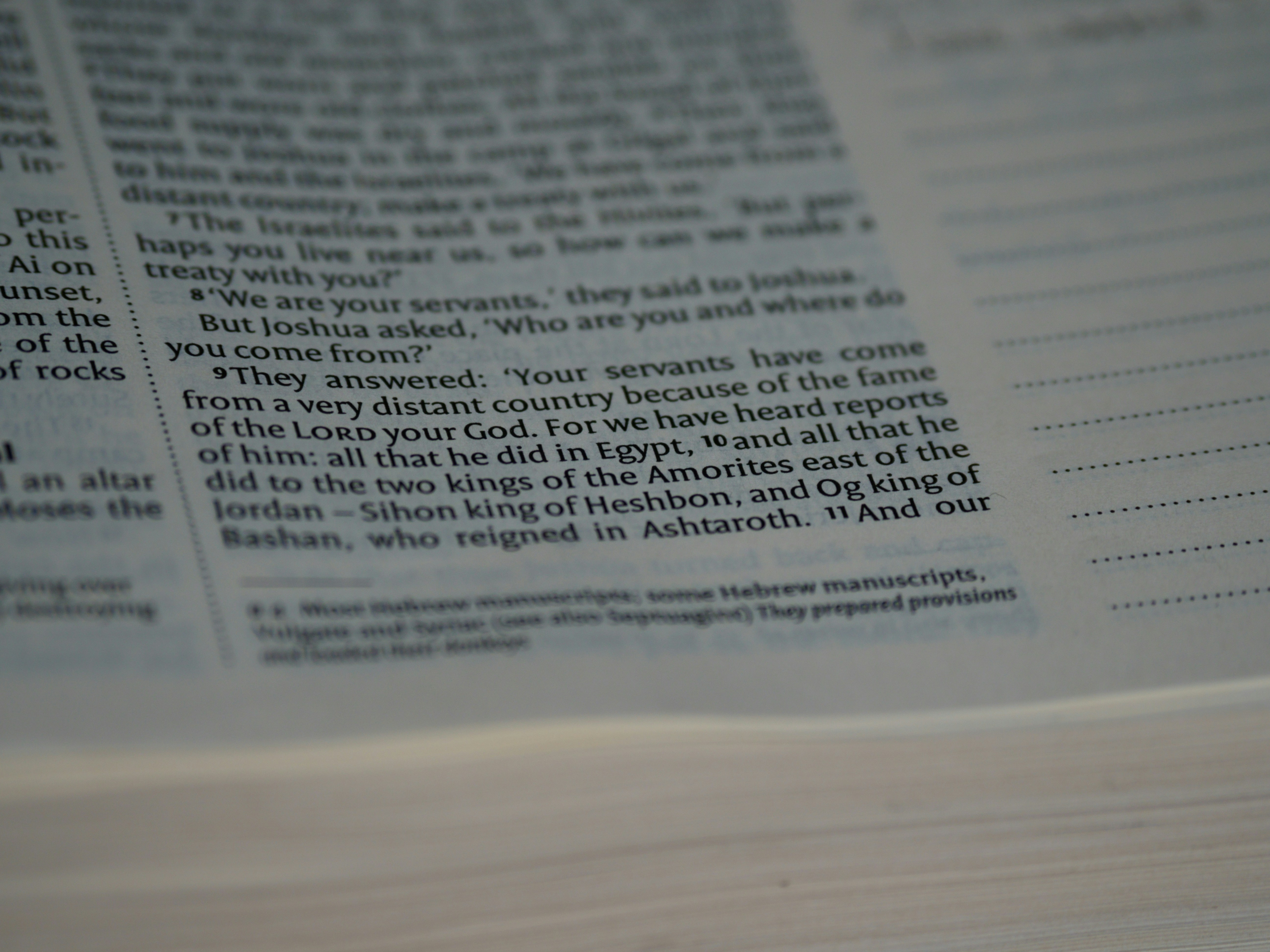 Photo by brett_jordan