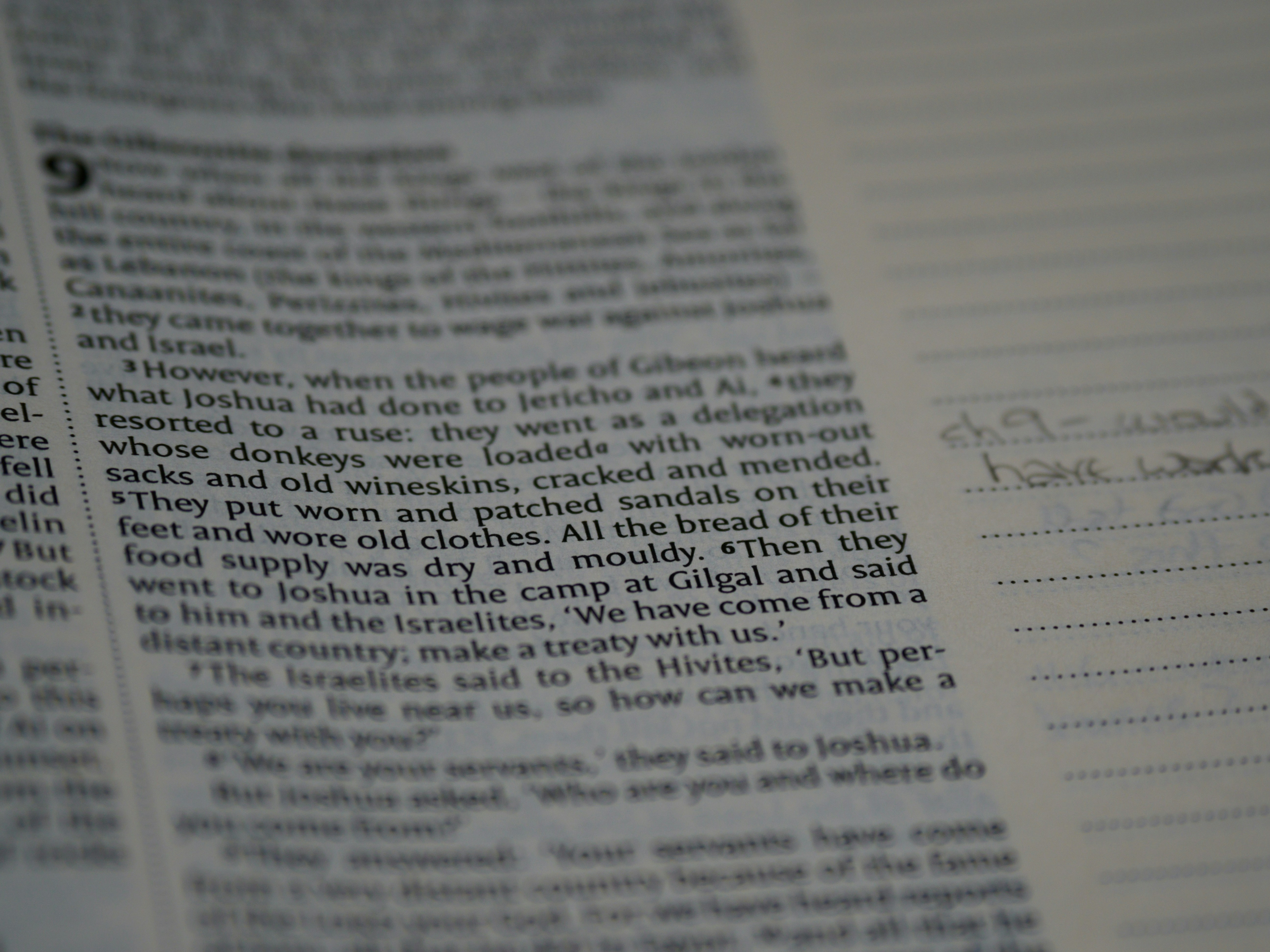 Photo by brett_jordan