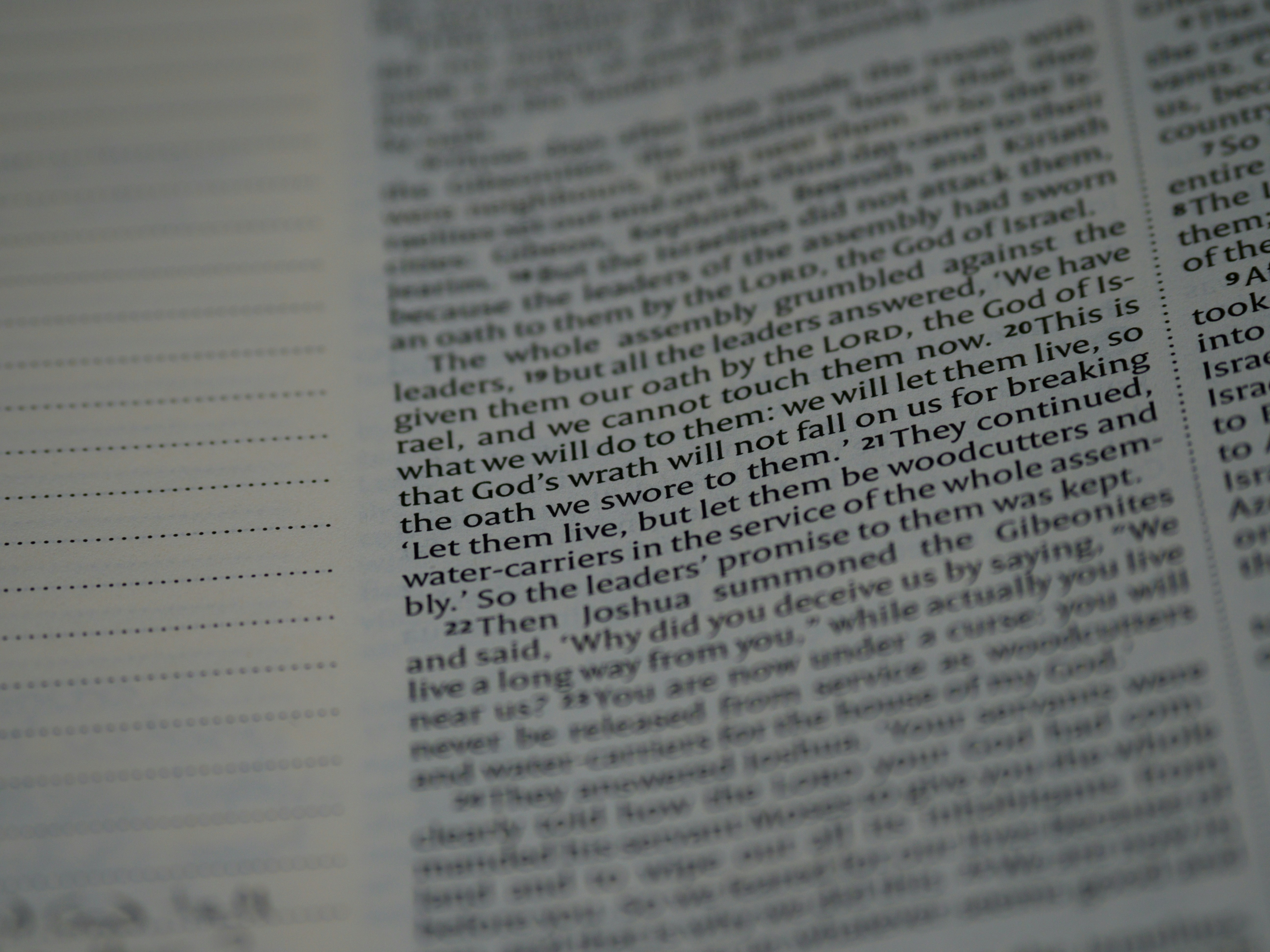 How to Embed Quotes in an Essay (MLA Examples to Ace)