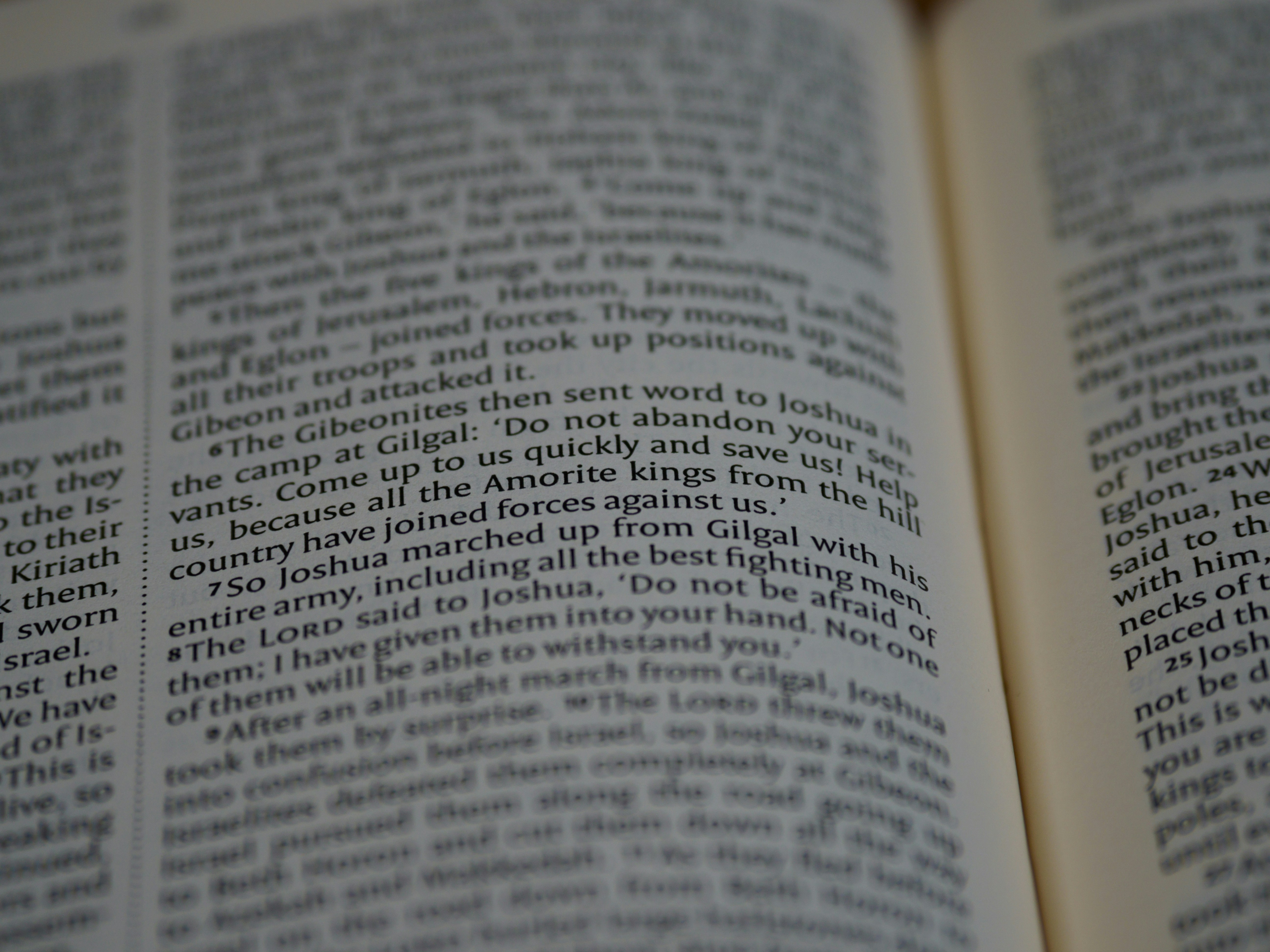 Photo by brett_jordan