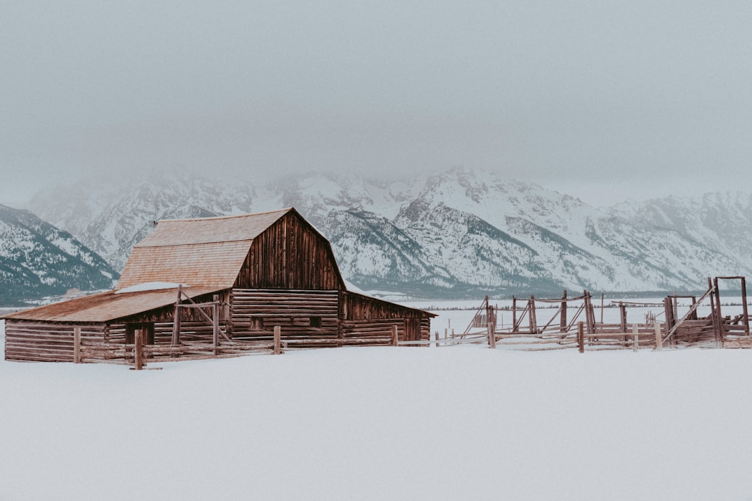 brown wooden house on snow covered ground during daytime