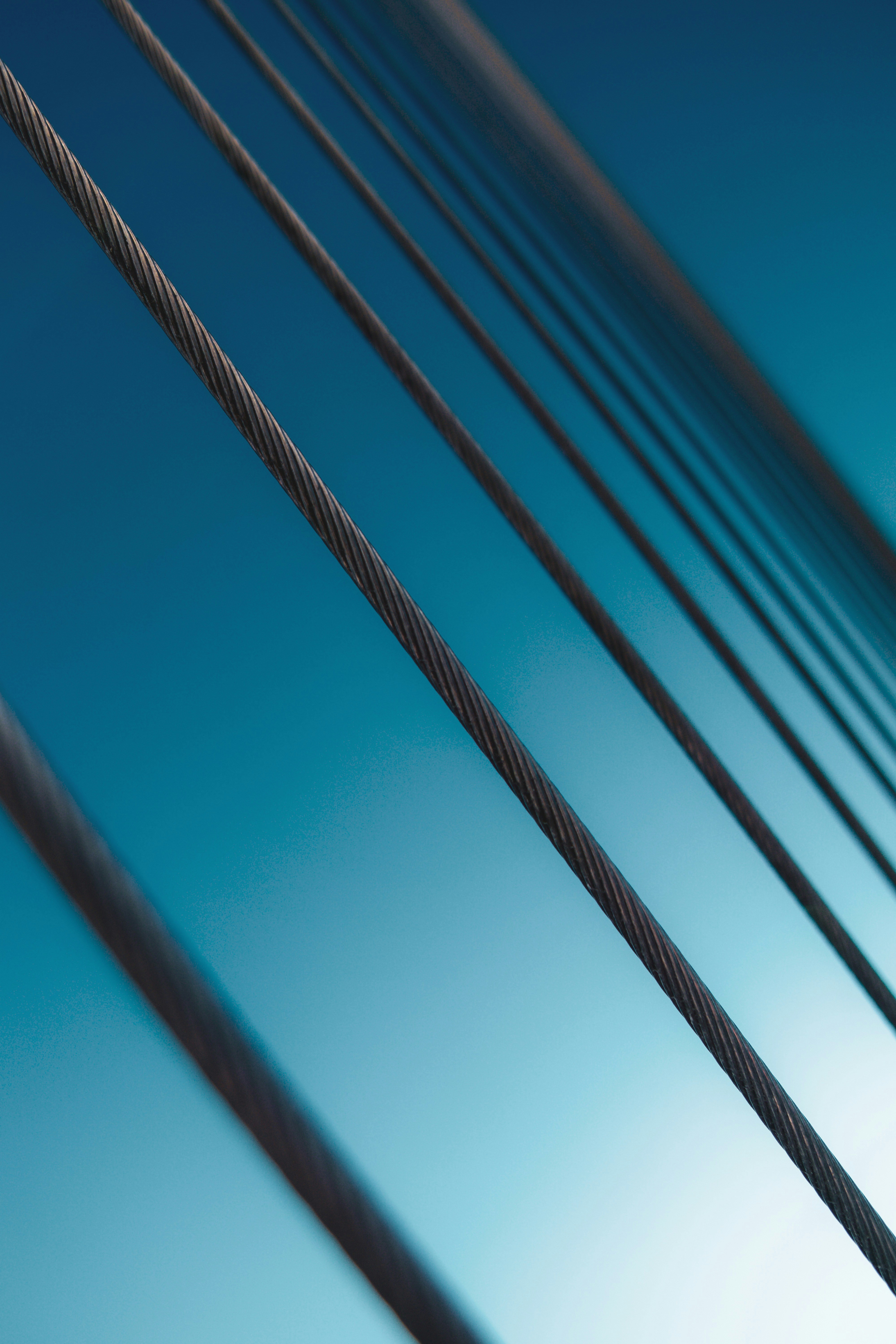 Photo by christianlue