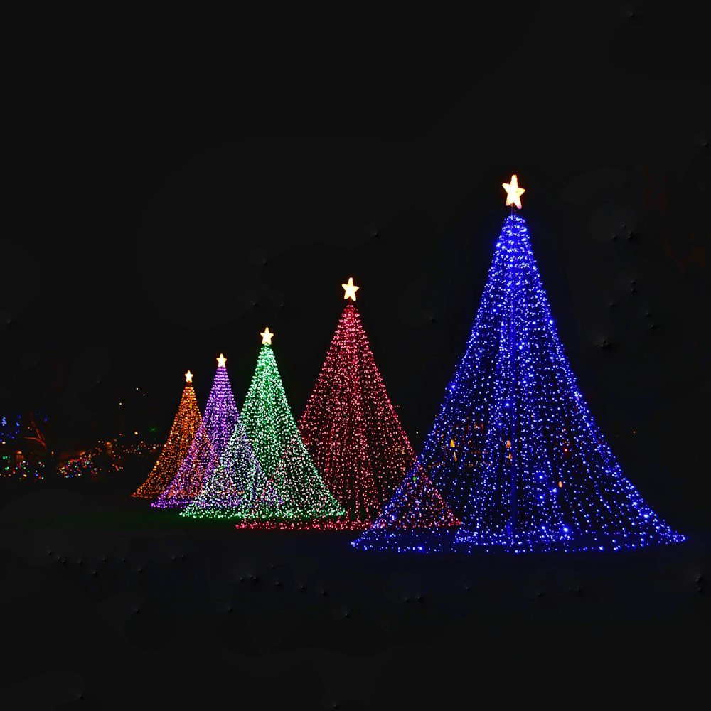 purple and blue christmas tree with string lights during night time