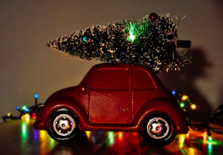 red volkswagen beetle parked beside green christmas tree