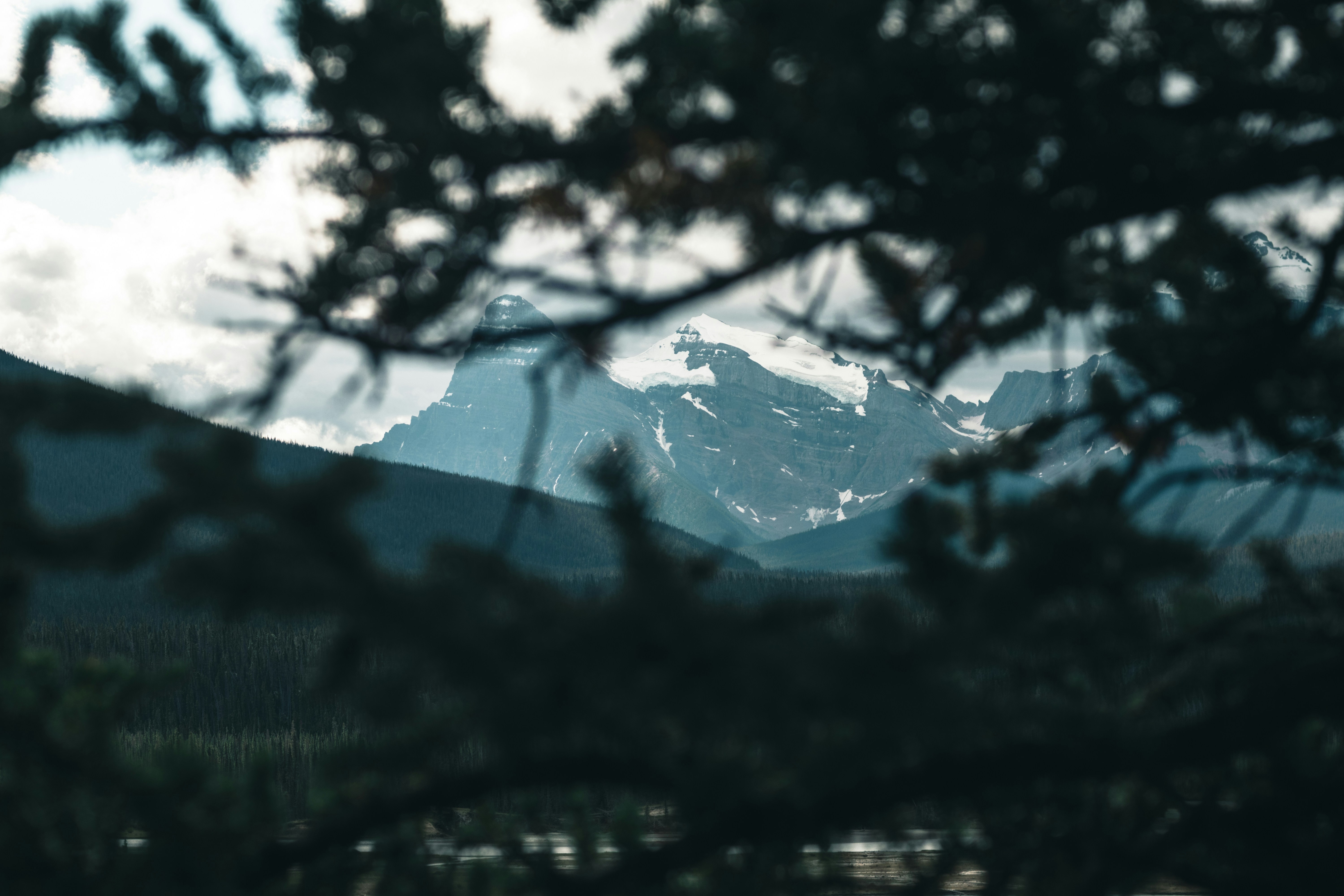 a view of a mountain range through the branches of a tree