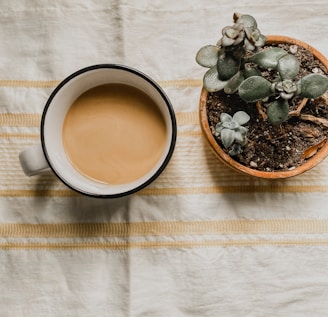 A steaming cup of coffee placed next to a coffee plant.