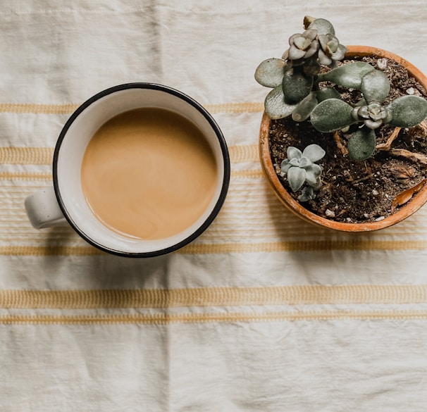 A steaming cup of coffee placed next to a coffee plant.