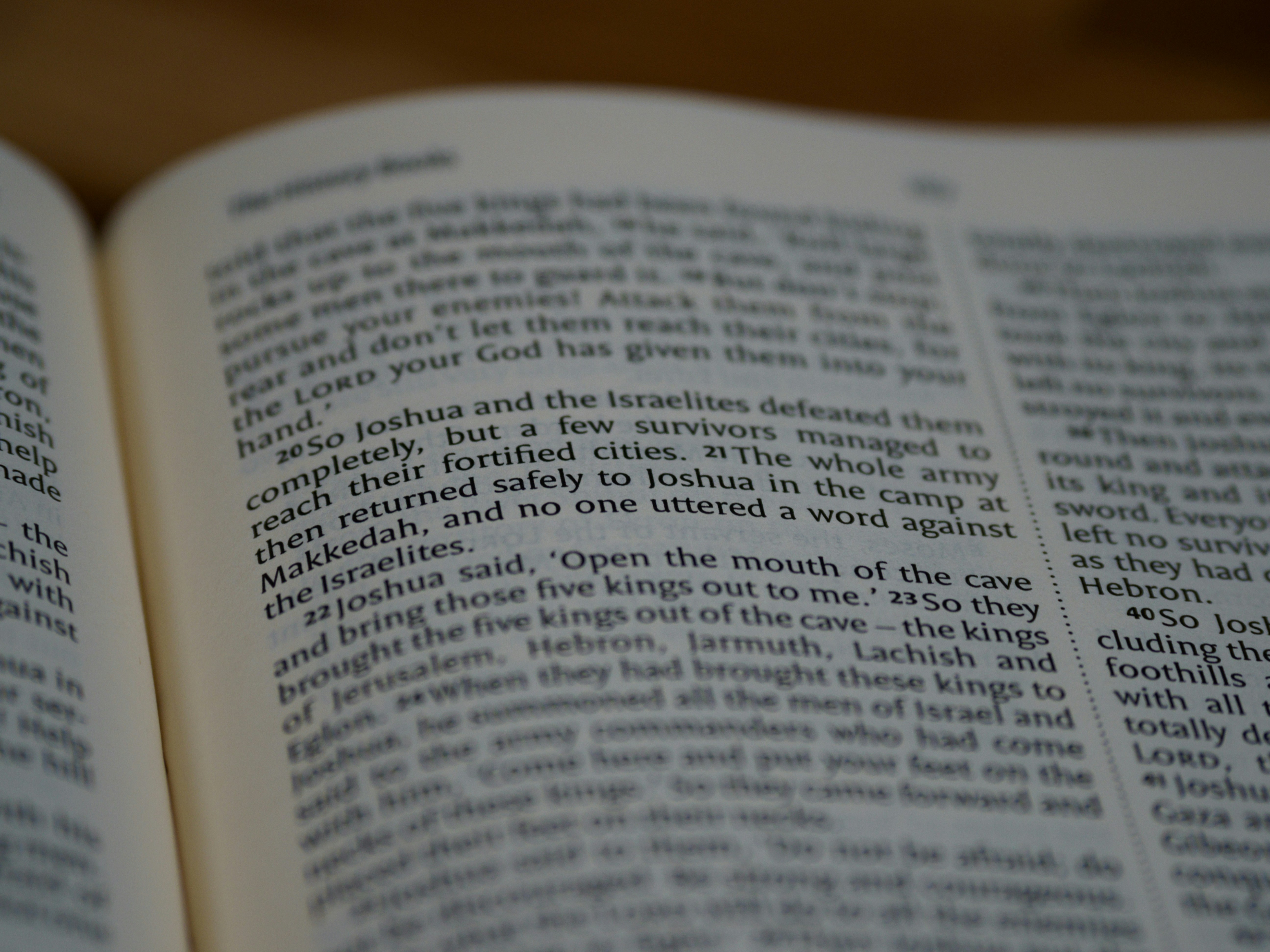 Photo by brett_jordan