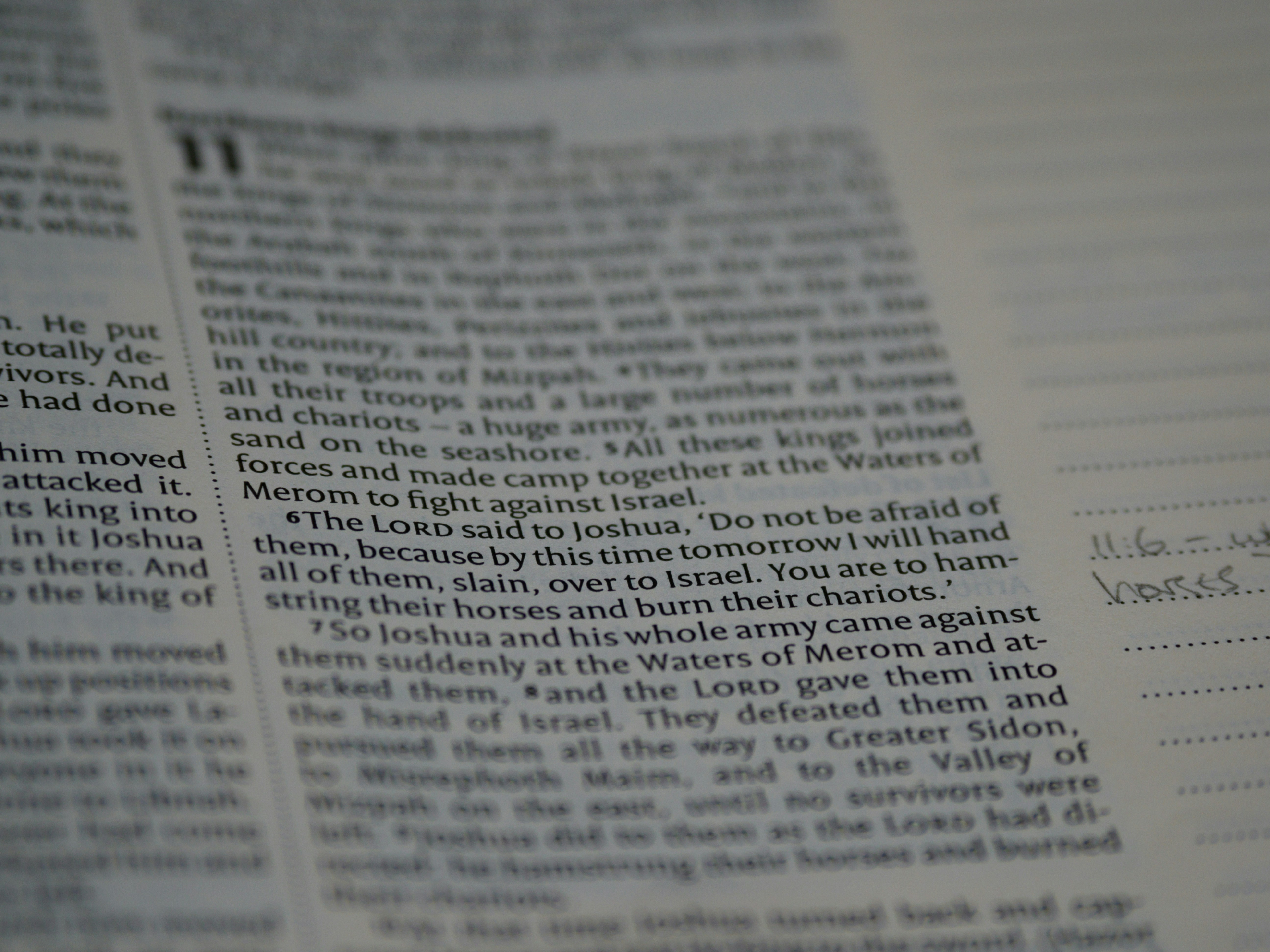 photo-1606761397793-737bfab4f1ab?ixid=M3wxMjA3fDB8MXxzZWFyY2h8OHx8dWZhYmV0JTIwJUUwJUI4JTk3JUUwJUI4JUIyJUUwJUI4JTg3JUUwJUI5JTgwJUUwJUI4JTgyJUUwJUI5JTg5JUUwJUI4JUIyJTIwJUUwJUI4JUE1JUUwJUI5JTg4JUUwJUI4JUIyJUUwJUI4JUFBJUUwJUI4JUI4JUUwJUI4JTk0fGVufDB8fHx8MTc1MTczNTM1Mnww\u0026ixlib=rb-4.1.0