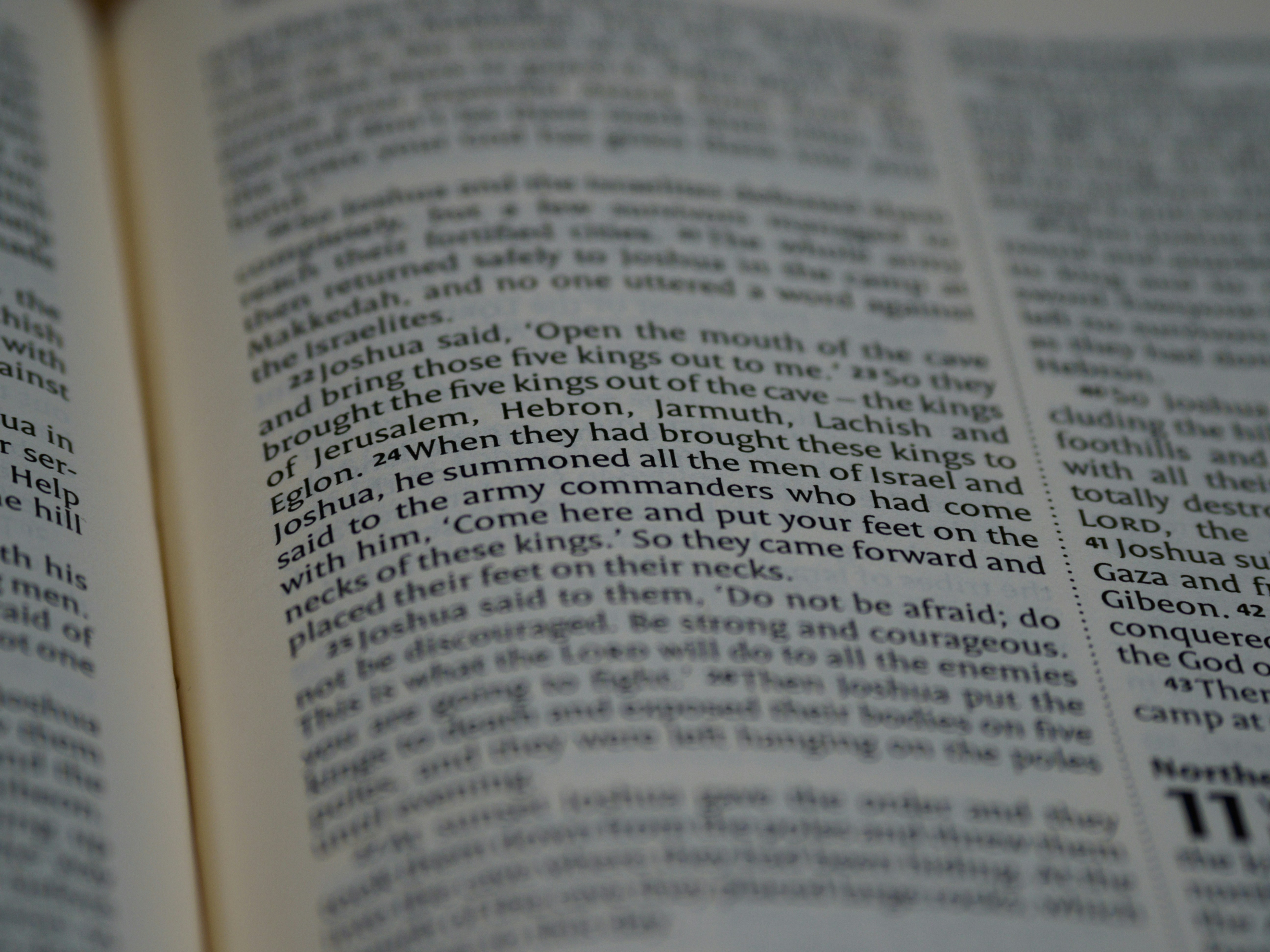 Photo by brett_jordan