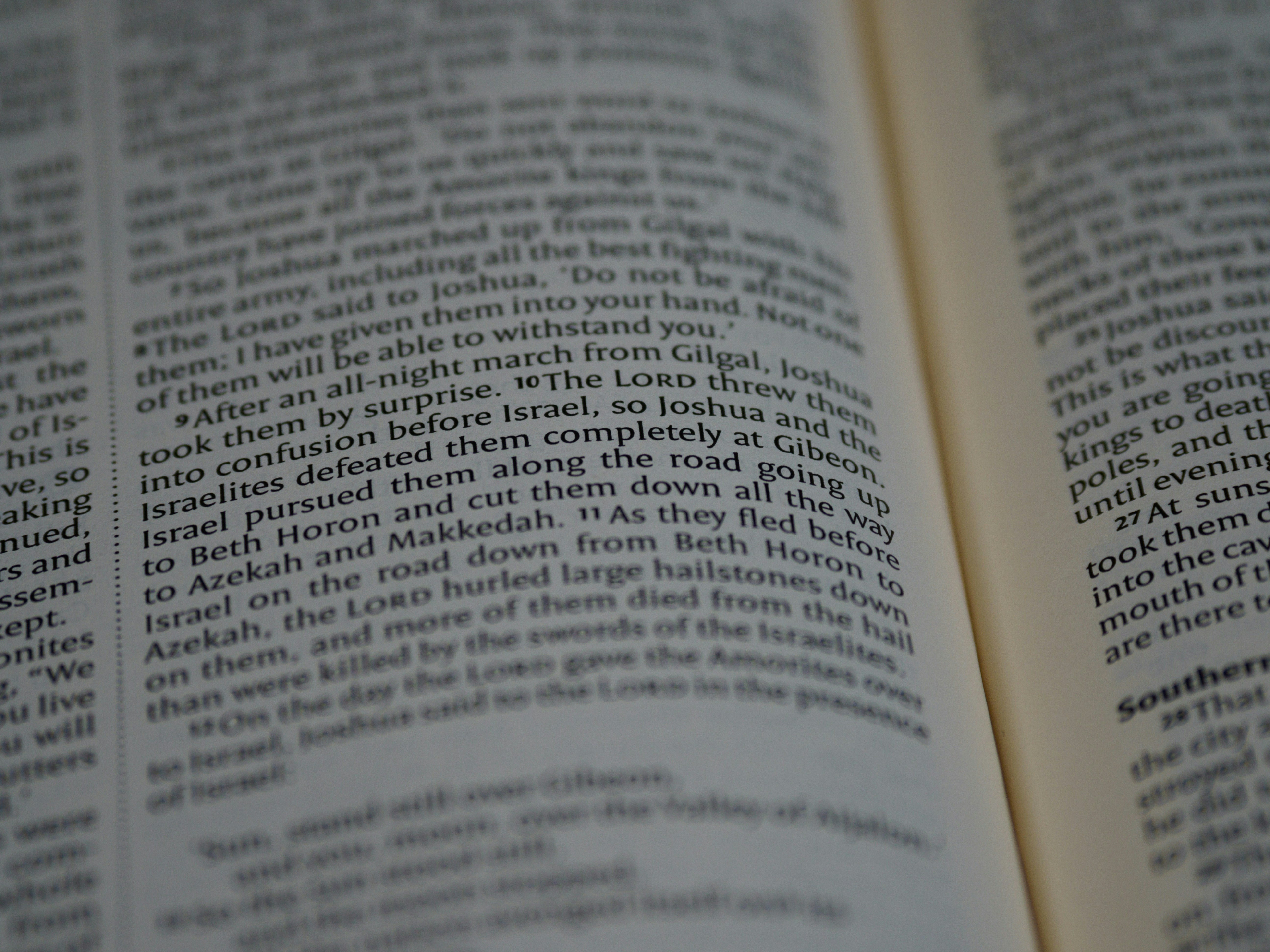 Photo by brett_jordan