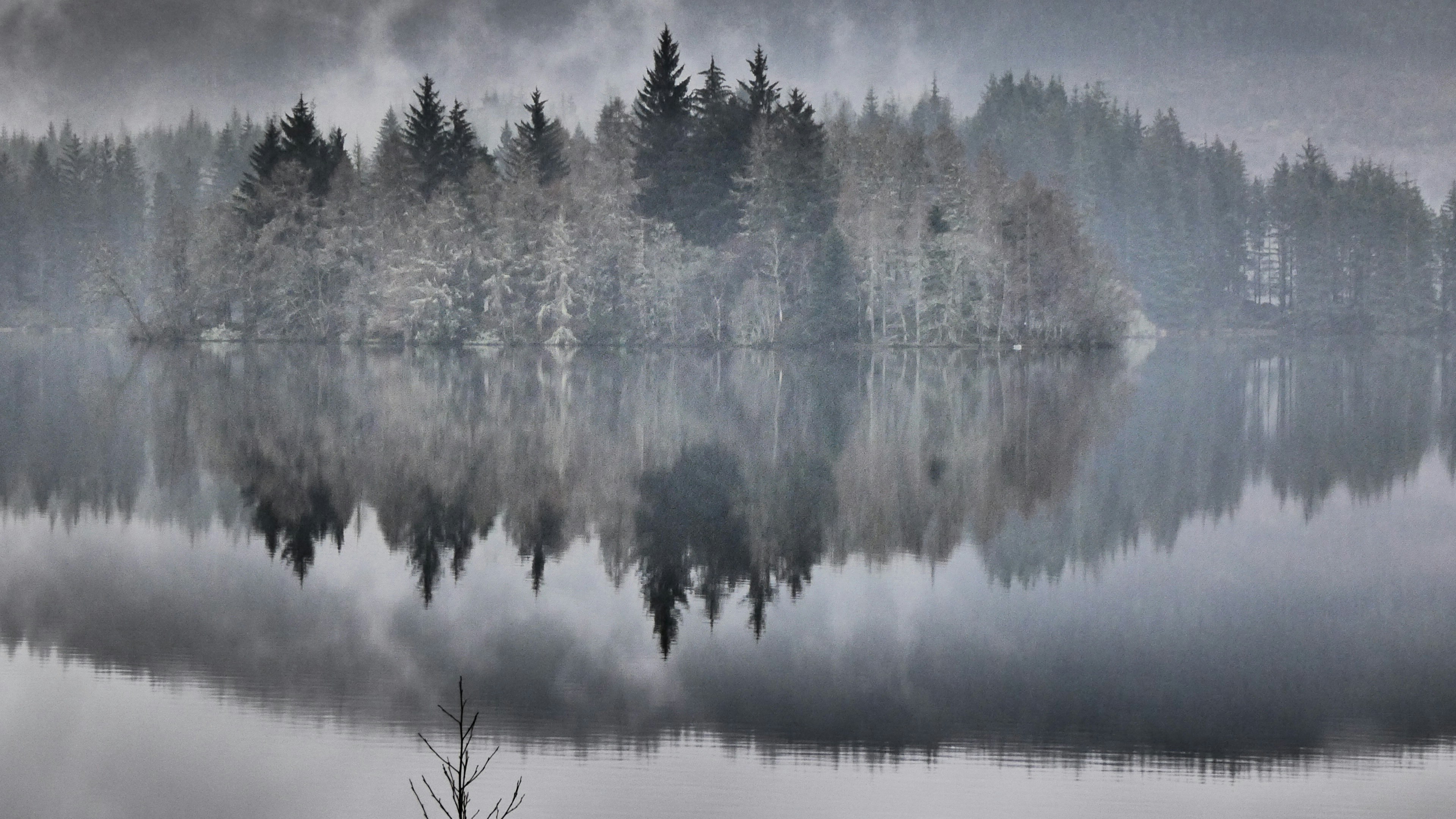 trees on snow covered ground near body of water during daytime