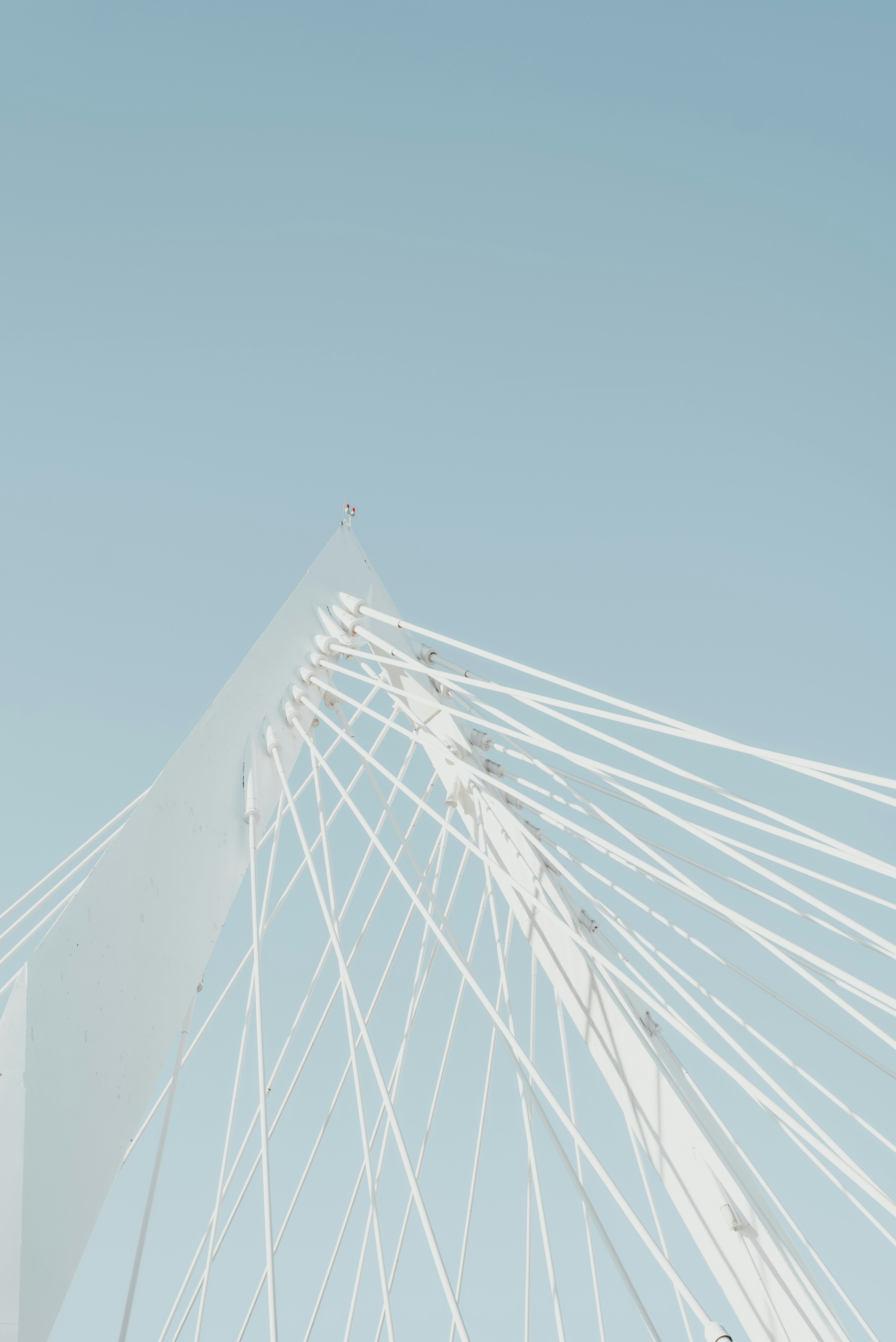 Photo by brunocervera